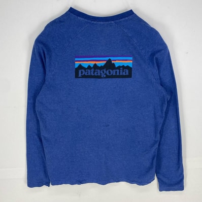 古着 パタゴニア patagonia 長袖Tシャツ ラグラン ロゴプリント ロンT ロングスリーブ L ブルー系 バックプリント メンズ