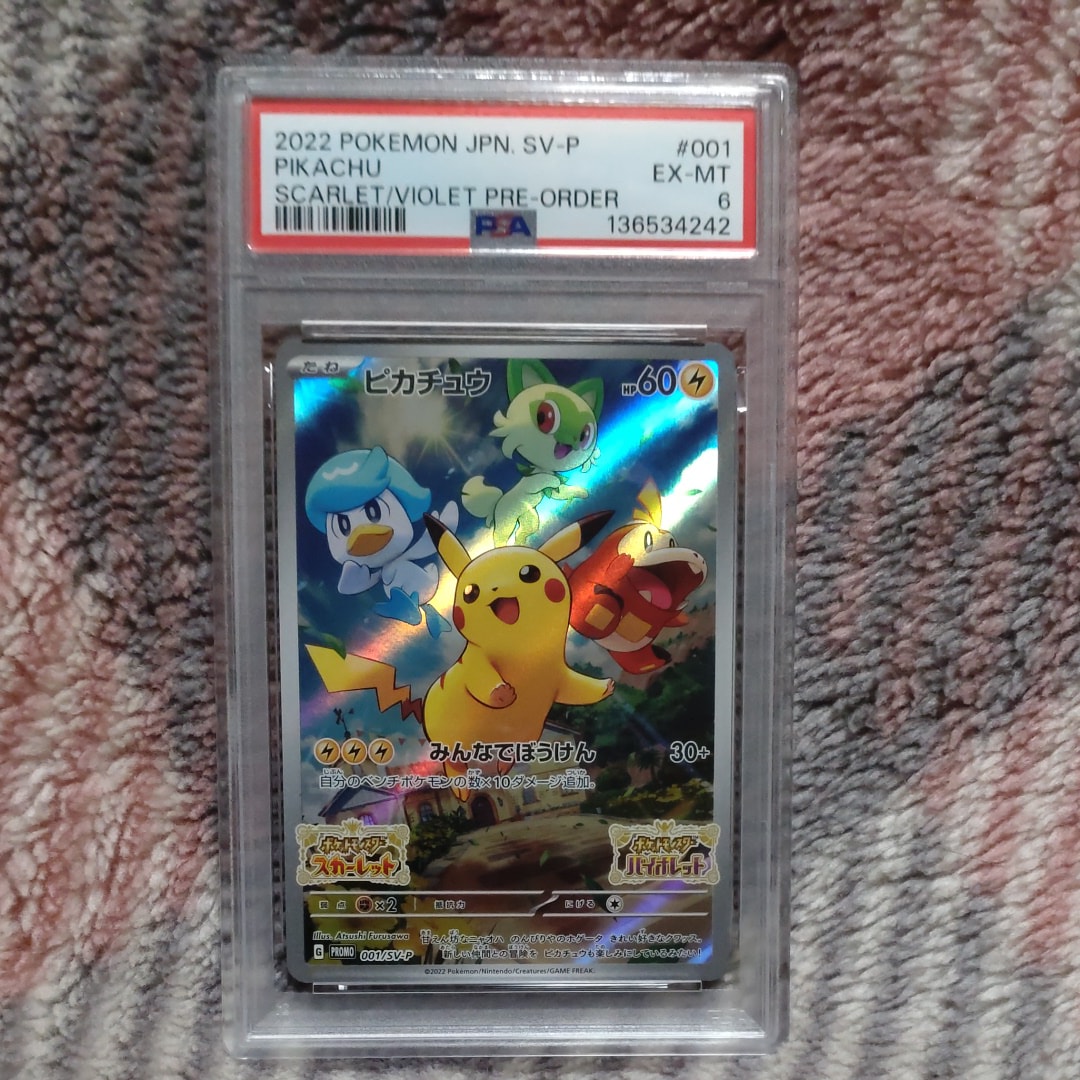 海で遊ぶピカチュウ: プロモ [SM-P 392](プロモーションカード「SM-P