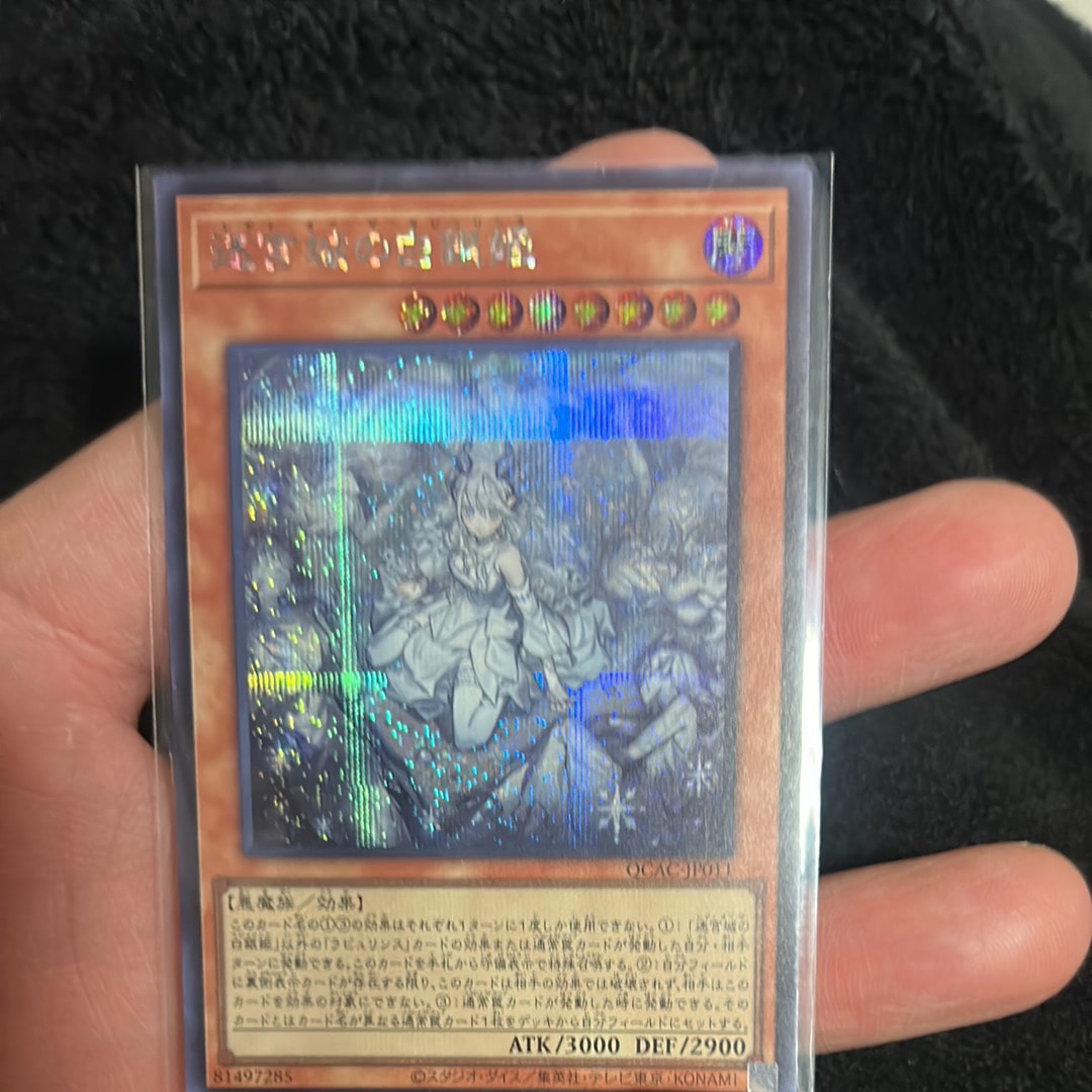 迷宮城の白銀姫 (イラスト違い) SE [QCAC-JP011](クォーター・センチュリー・アート・コレクション)