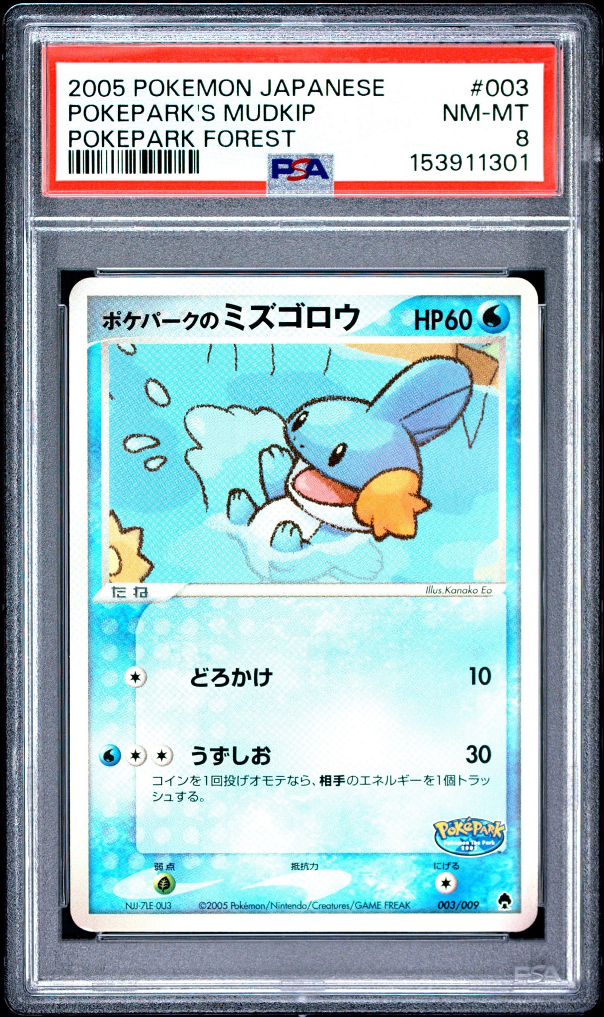 ポケパークのミズゴロウ [PCG 003/009](ポケパークプレミアムファイル