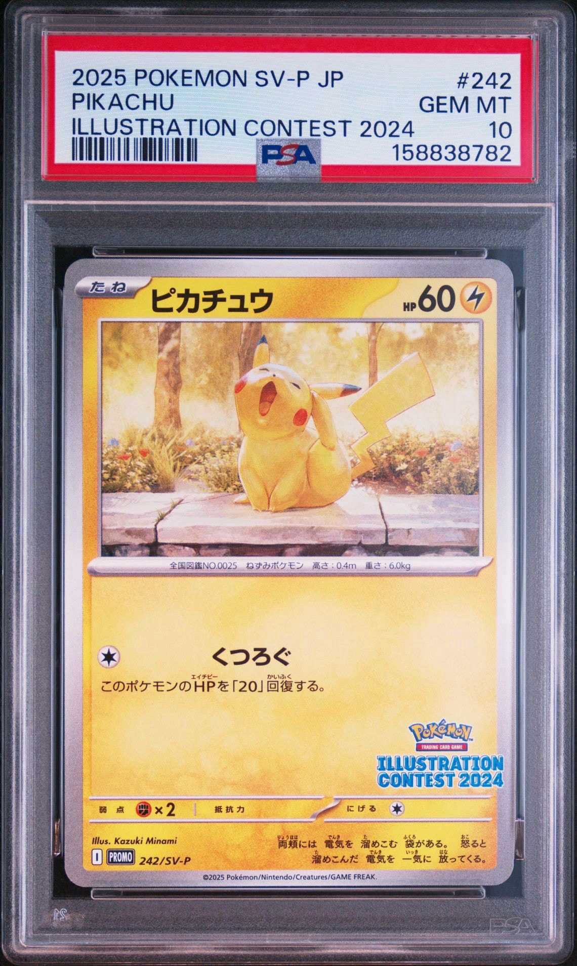 ピカチュウ [SV-P 242](プロモカードパック「イラストレーション