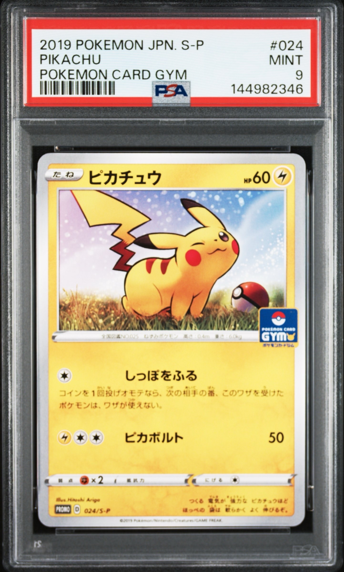 ピカチュウ: プロモ P [S-P 024](ポケモンカードゲーム ソード&シールド 「プロモカードパック 第1弾」)