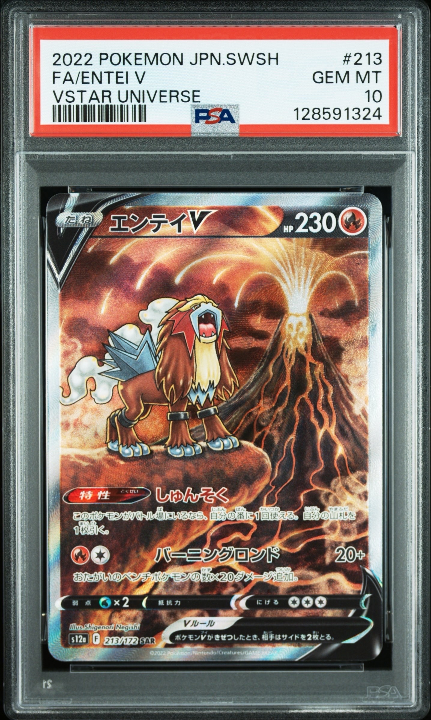 エンテイV SAR[s12a 213/172](ハイクラスパック「VSTARユニバース」)