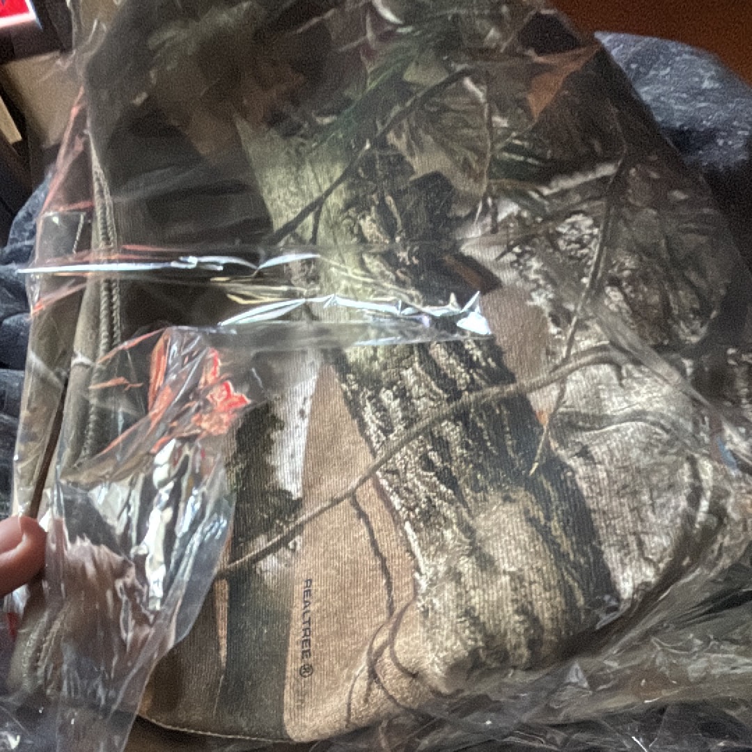 Supreme Box Logo Hooded Sweatshirt (25FW) "Realtree AP Camo"