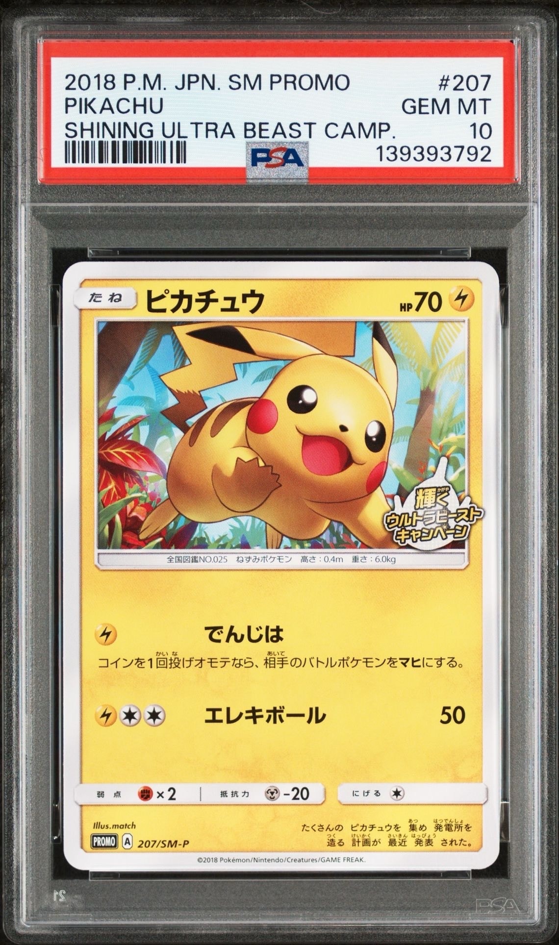 ピカチュウ: プロモ [SM-P 207](プロモーションカード「SM-P」)