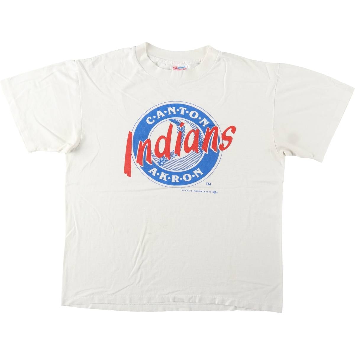 古着 90年代 ヘインズ Hanes HEAVYWEIGHT 50/50 プリントTシャツ USA製 メンズL相当 ヴィンテージ/eaa621489
