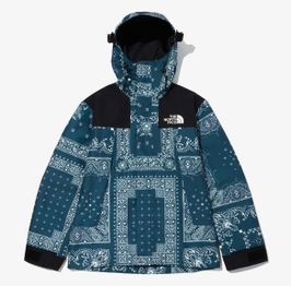 The North Face NOVELTY GTX MOUNTAIN JACKET