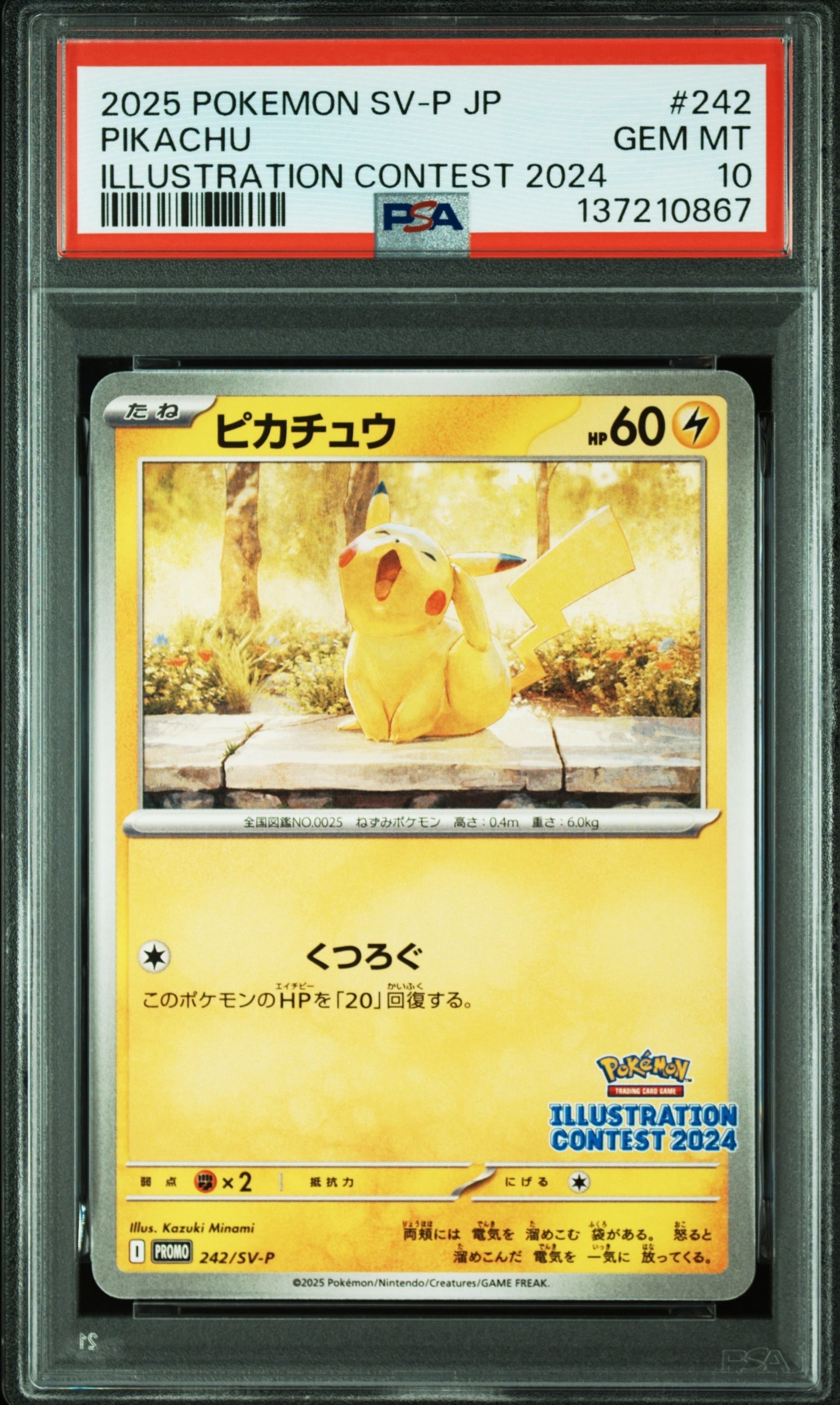 ピカチュウ [SV-P 242](プロモカードパック「イラストレーションコンテスト 2024 受賞作品プロモカード化記念キャンペーン」)