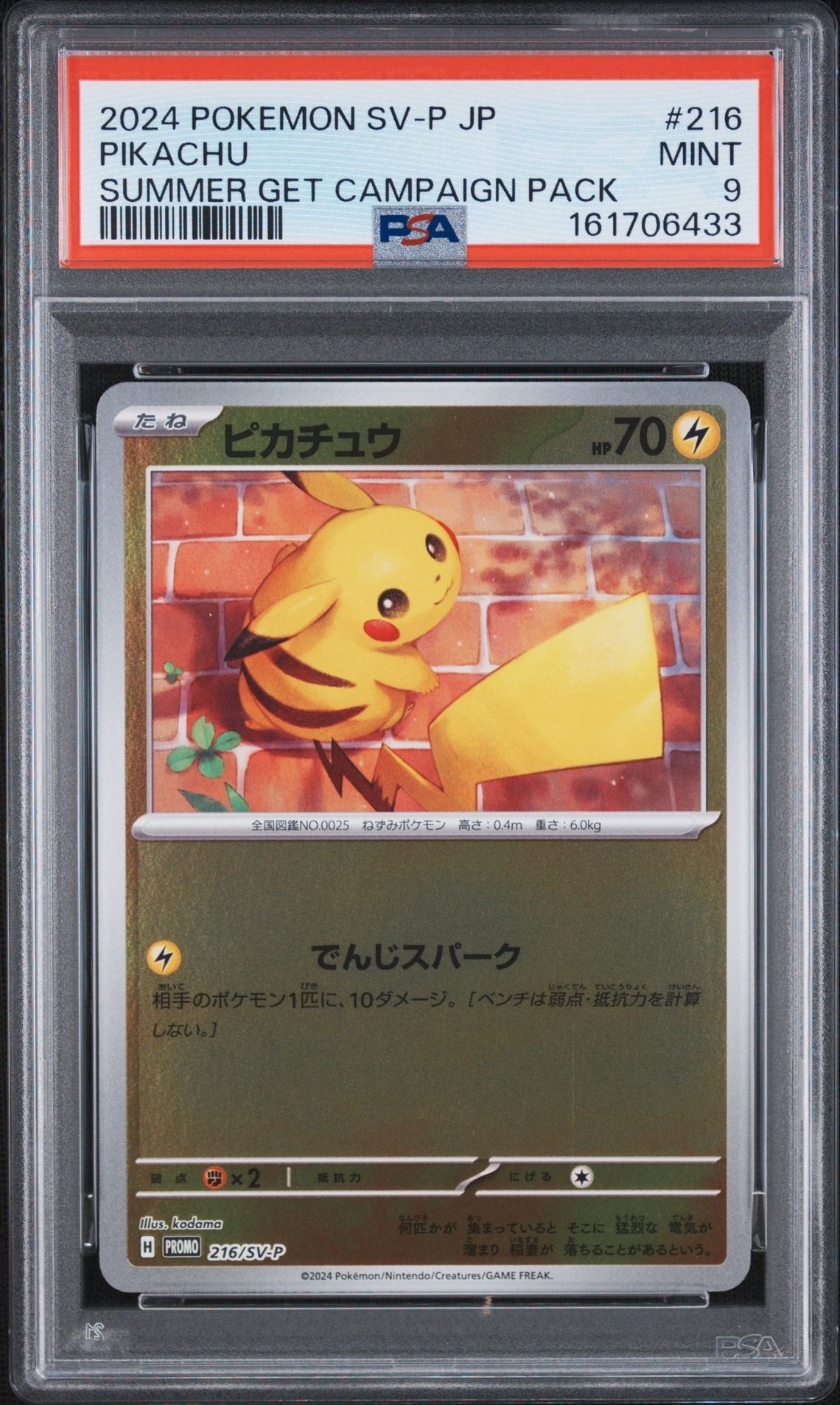 ピカチュウ P [SV-P 216](プロモカードパック「ポケカの夏がキタ!プロモカードGetキャンペーン!」)