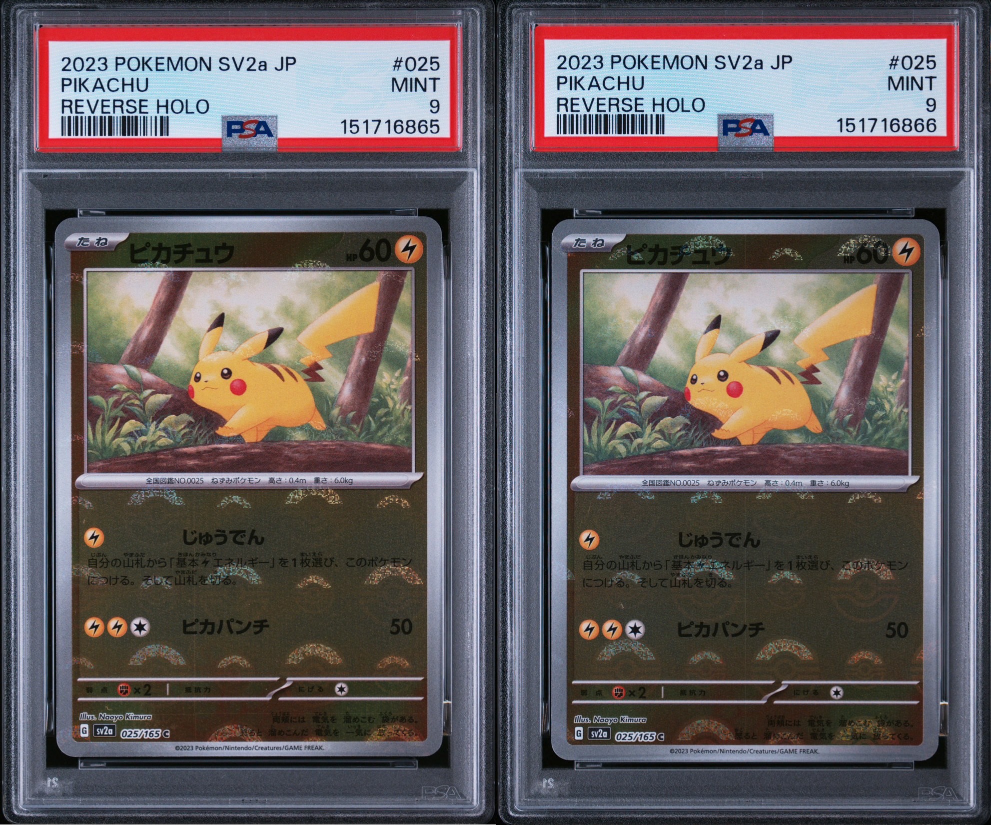 ピカチュウ C: モンスターボールミラー[SV2a 025/165](強化拡張パック「ポケモンカード151」)
