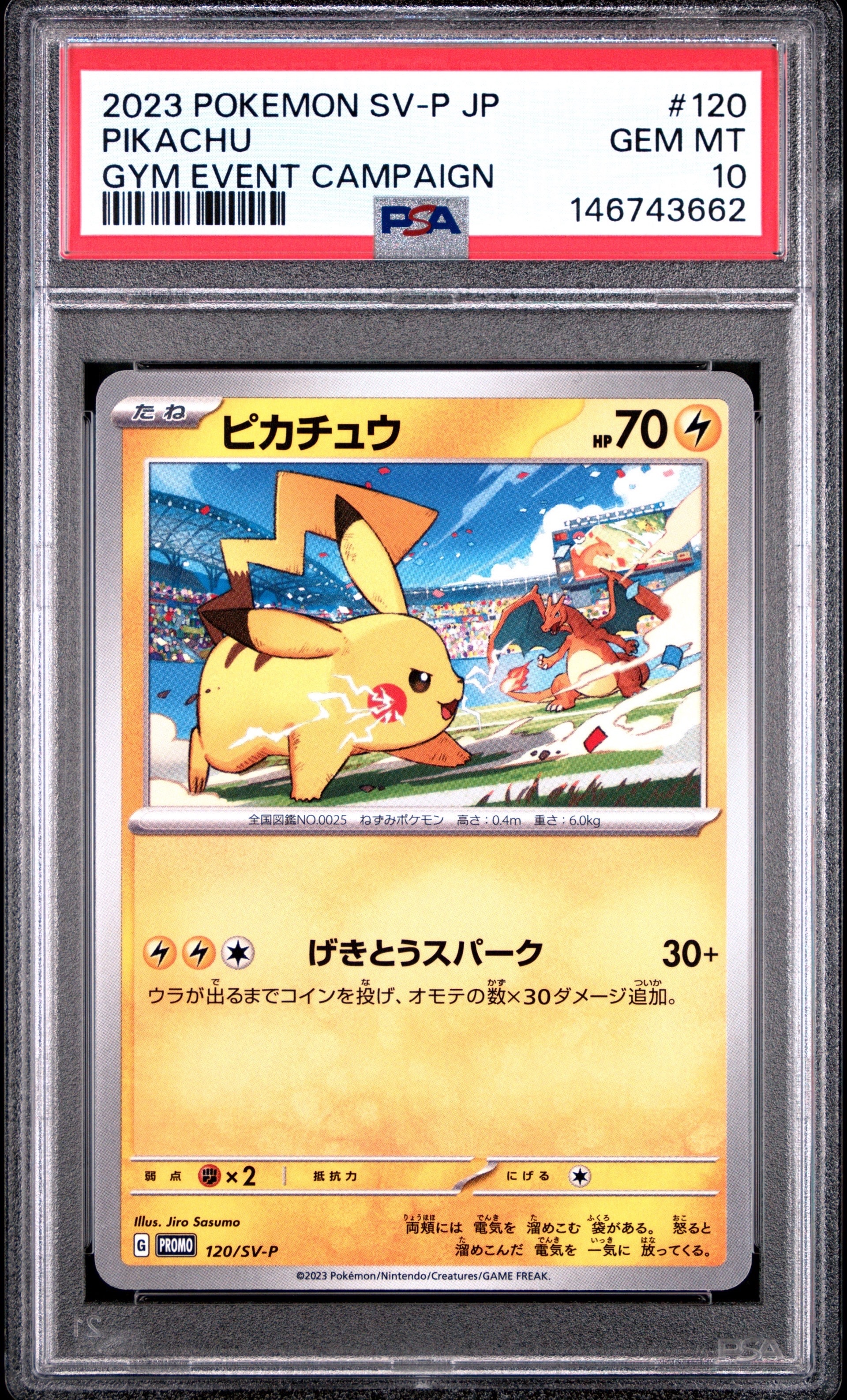 ピカチュウ: プロモ [SV-P 120](プロモーションカード「SV-P」)の新品