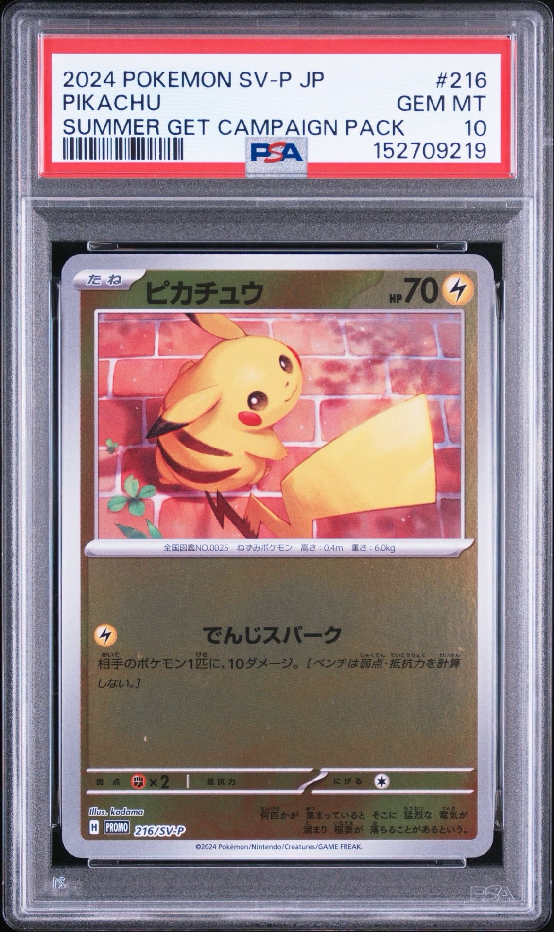 状態B】ピカチュウ P [SV-P 216](プロモカードパック「ポケカの夏が