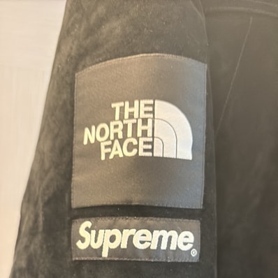 Supreme x The North Face Suede 600-Fill Down Parka "Black"