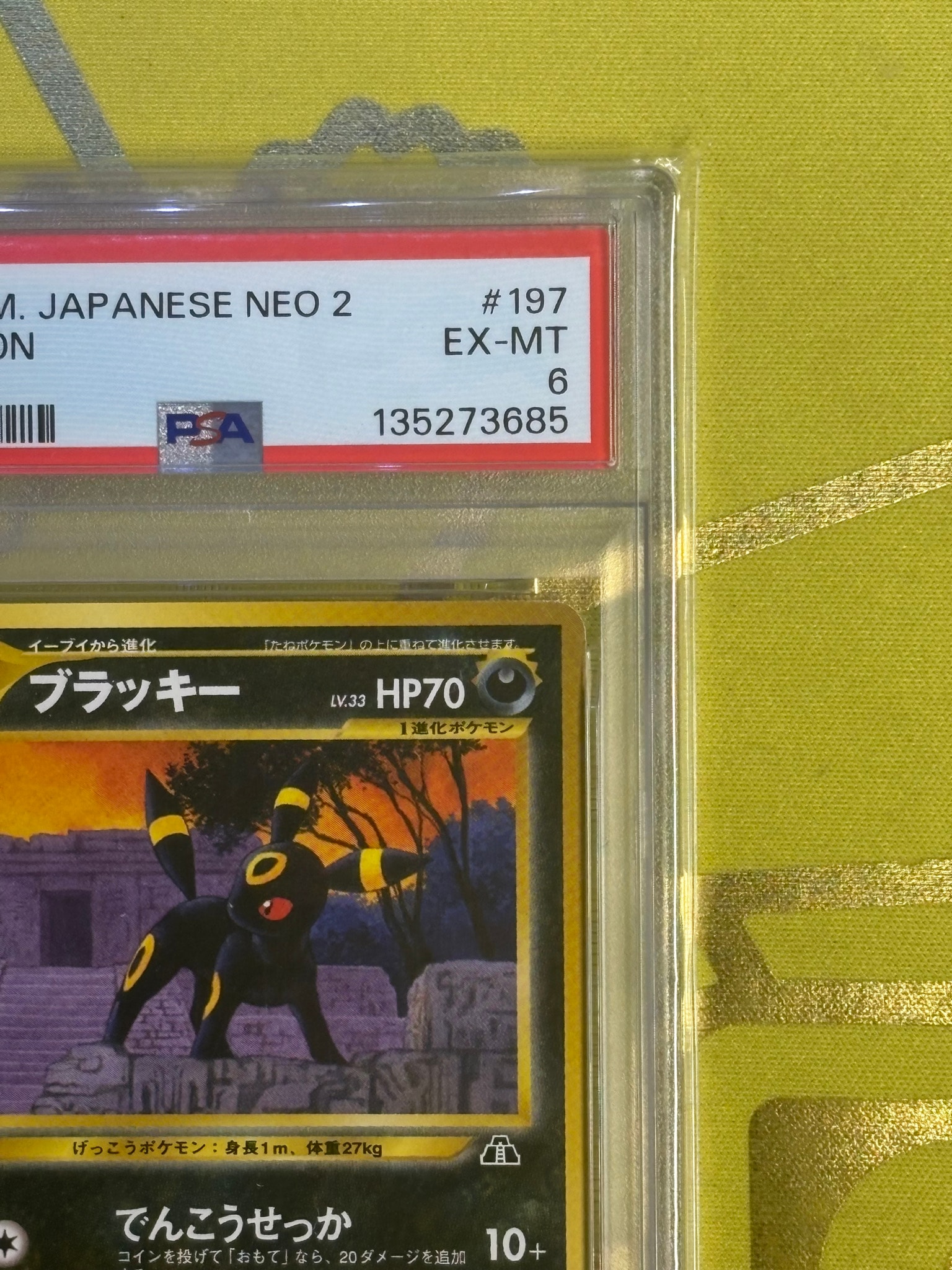 PSA8以下】ブラッキープレミアムファイル2: 旧裏[neoP2 No.197