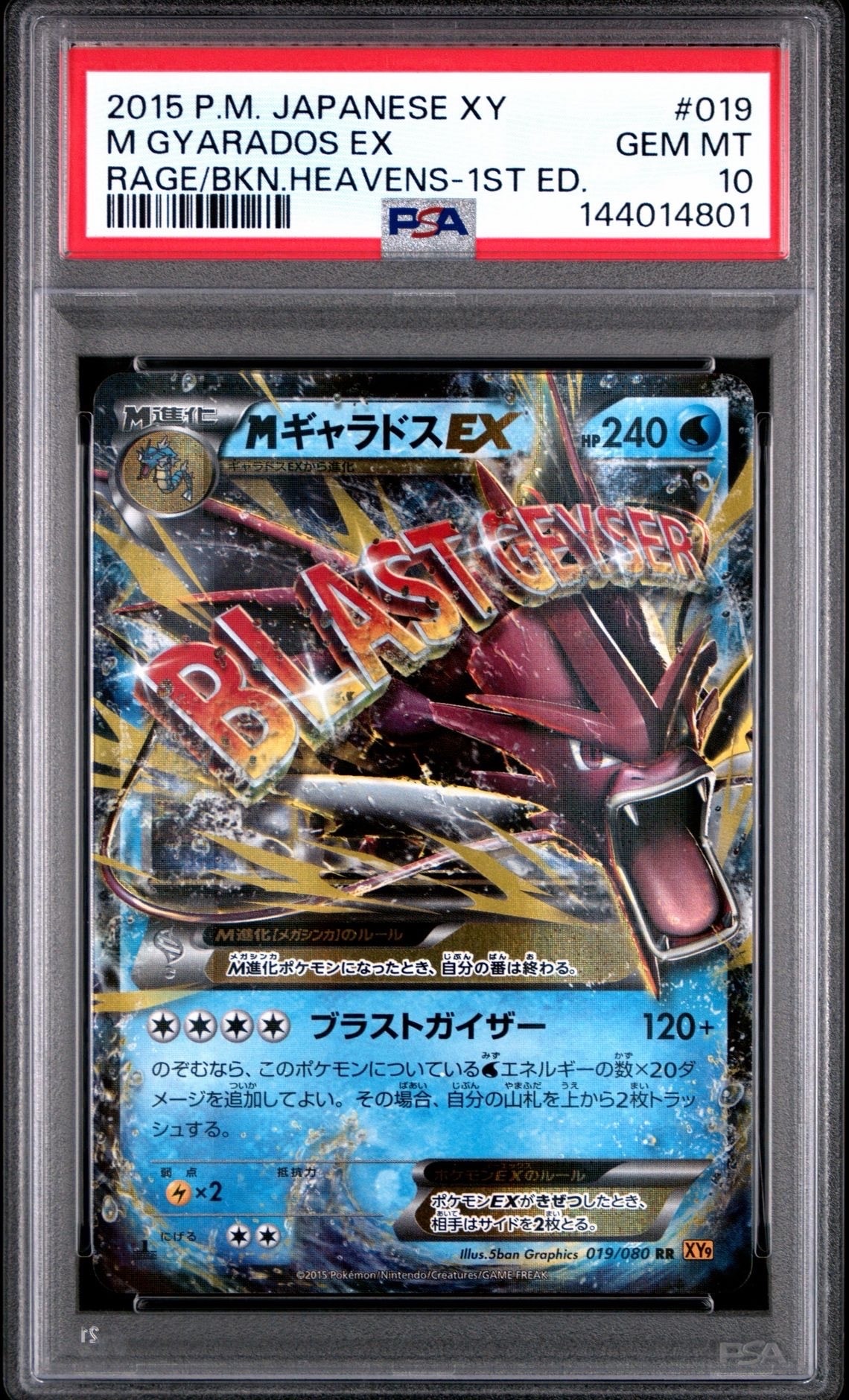 MギャラドスEX RR :1ED [XY9 019/080](拡張パック「破天の怒り」)の