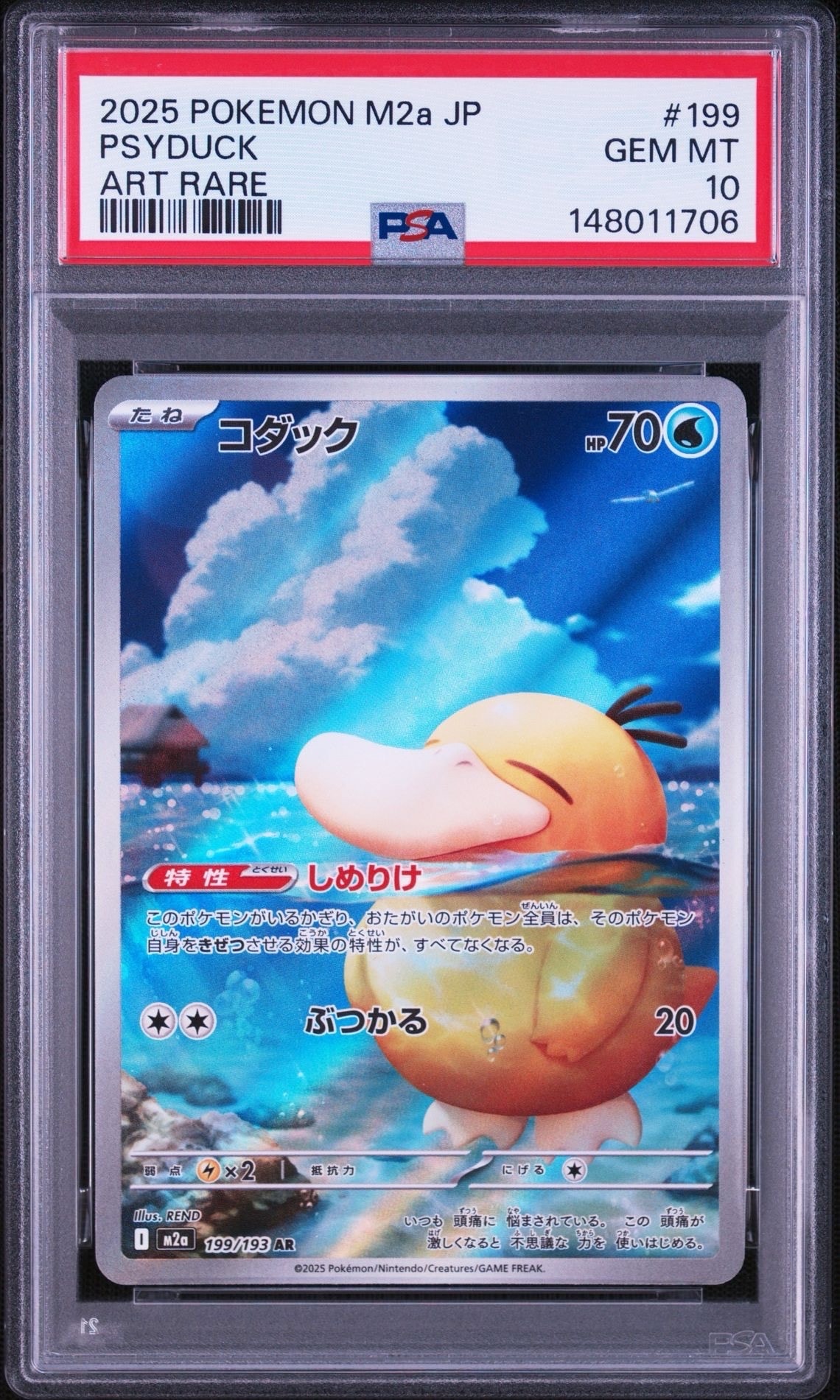 コダック AR [M2a 199/193](ハイクラスパック「MEGAドリームex」)