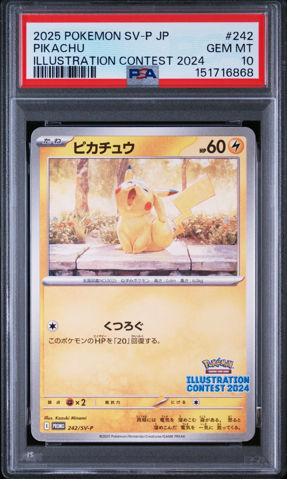 ピカチュウ [SV-P 242](プロモカードパック「イラストレーション