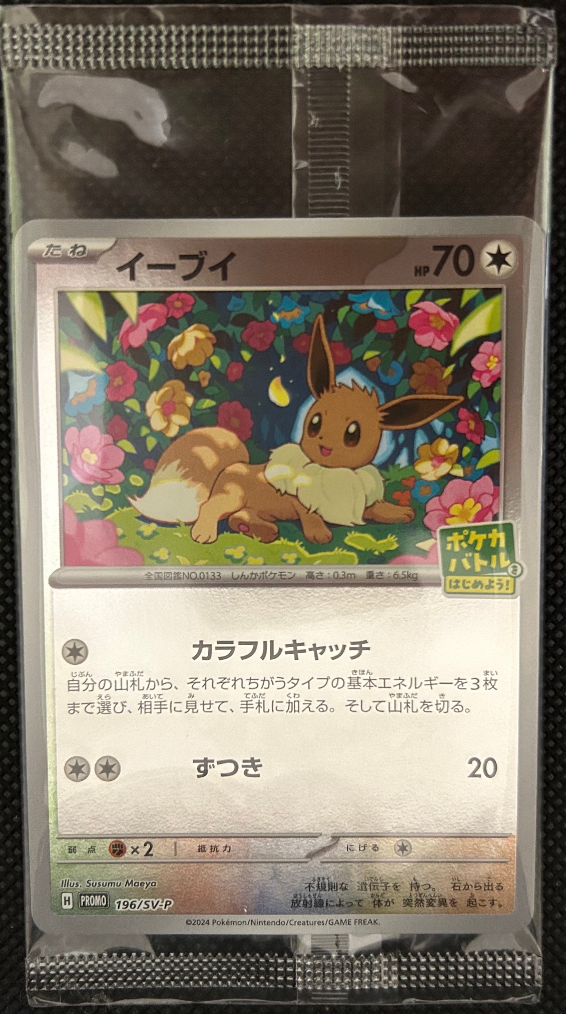 イーブイ P [SV-P-SM 196](プロモカードパック「ポケカバトルをはじめよう!キャンペーン」)
