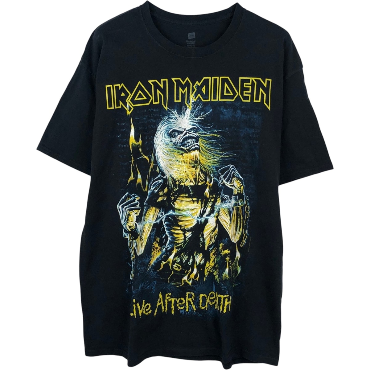 古着 ヘインズ Hanes IRON MAIDEN アイアンメイデン バンドTシャツ バンT メンズXL相当/eaa652615