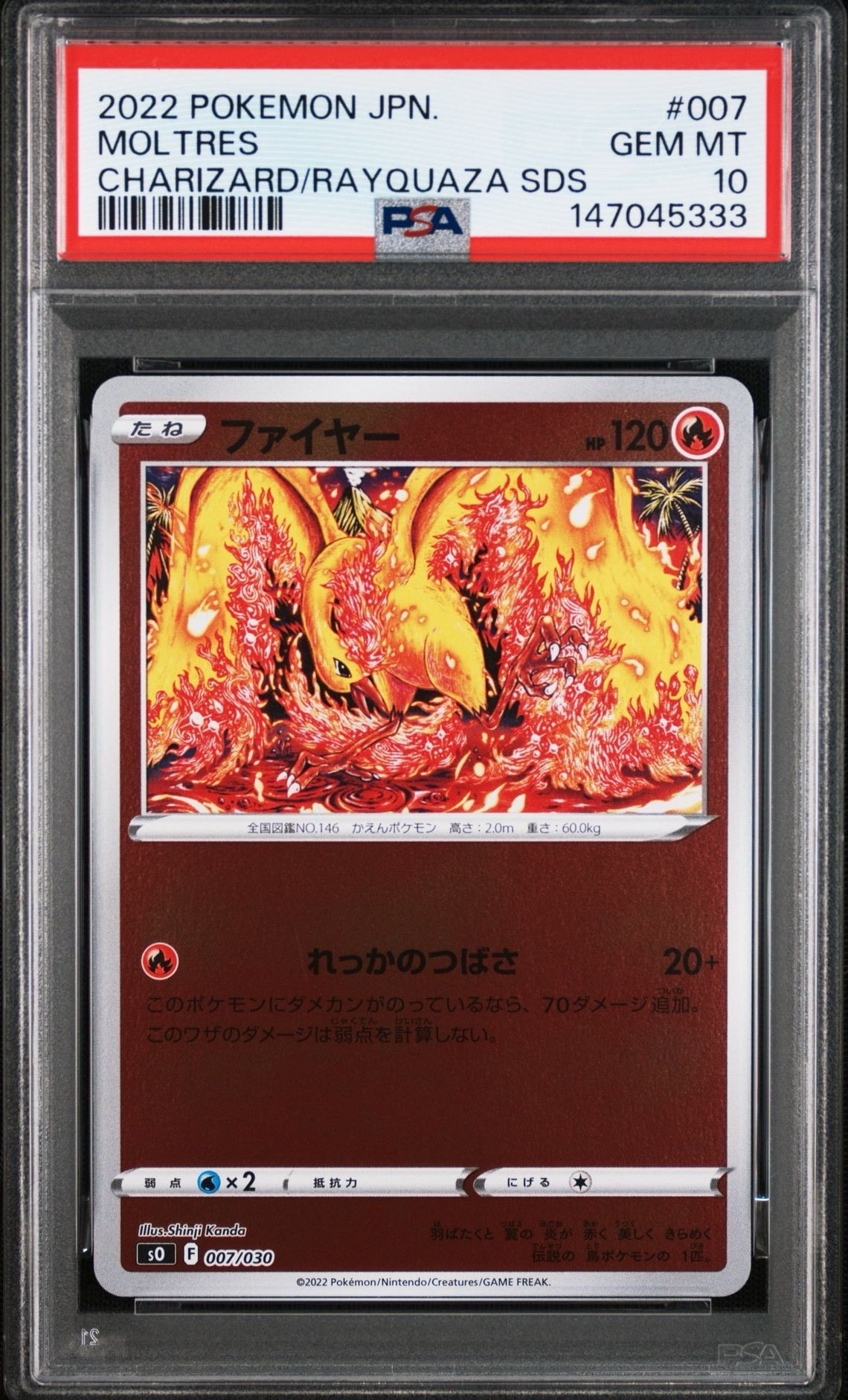 ポケパッド P [M-P 052](プロモーションカード「100人大集合でたとこ