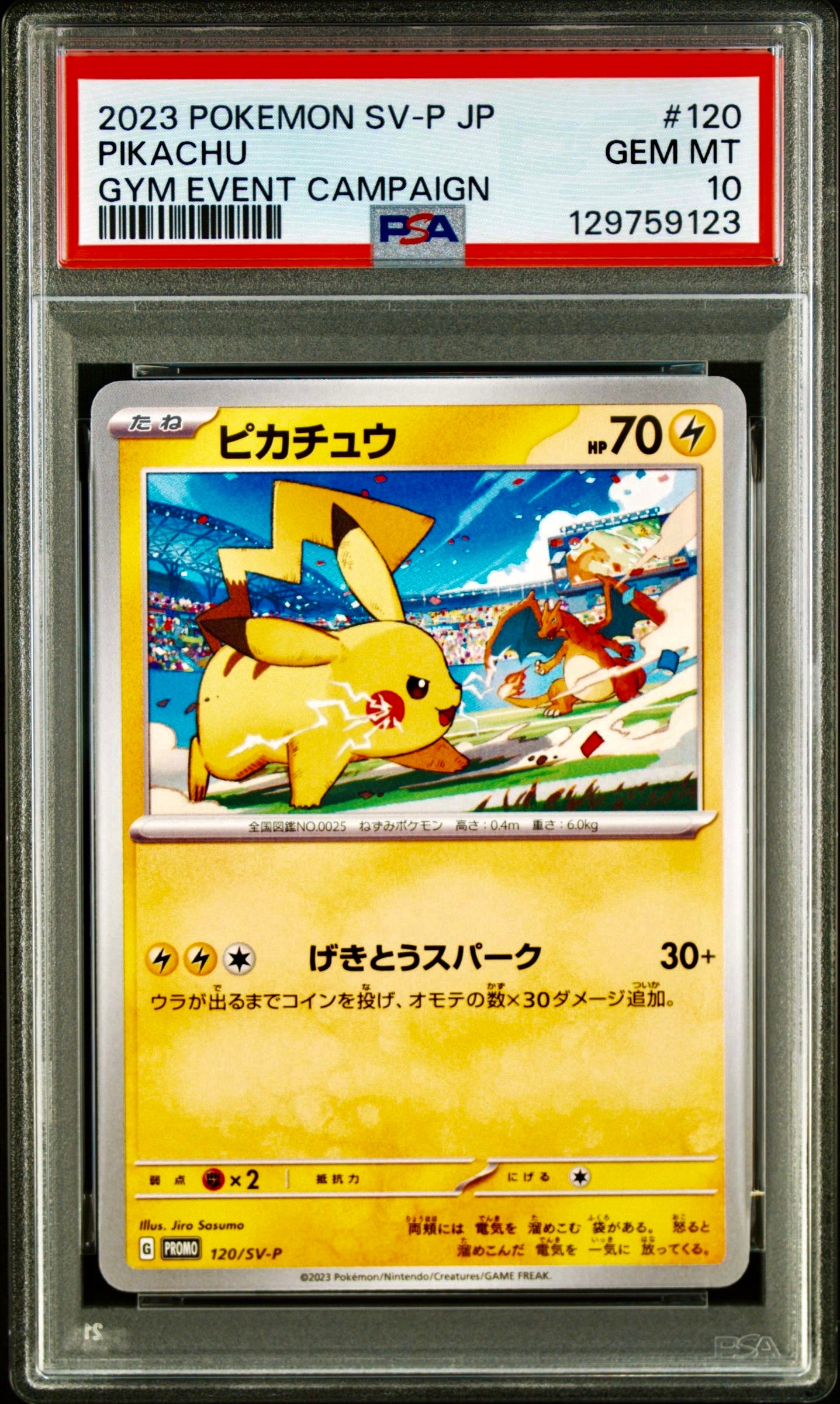ピカチュウ: プロモ [SV-P 120](プロモーションカード「SV-P」)