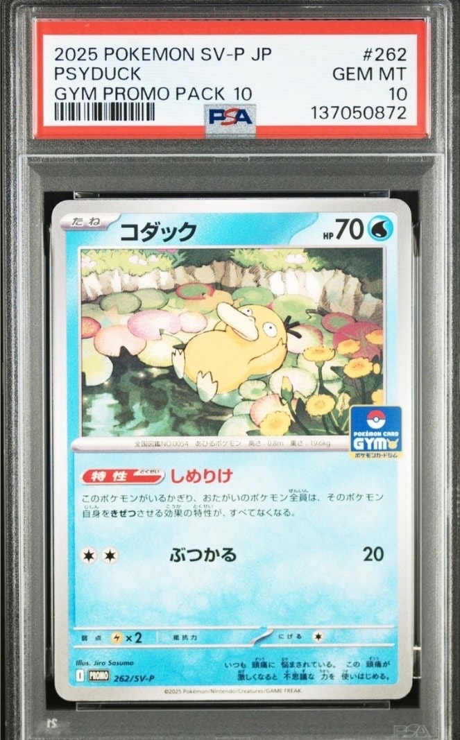 コダック P [SV-P 262](プロモカードパック「第10弾」)