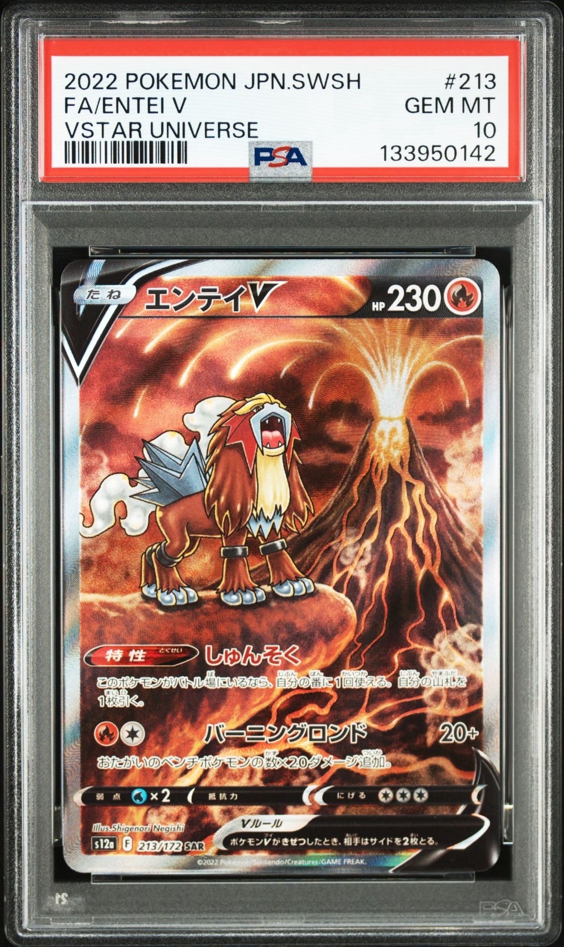 エンテイV SAR[s12a 213/172](ハイクラスパック「VSTARユニバース」)