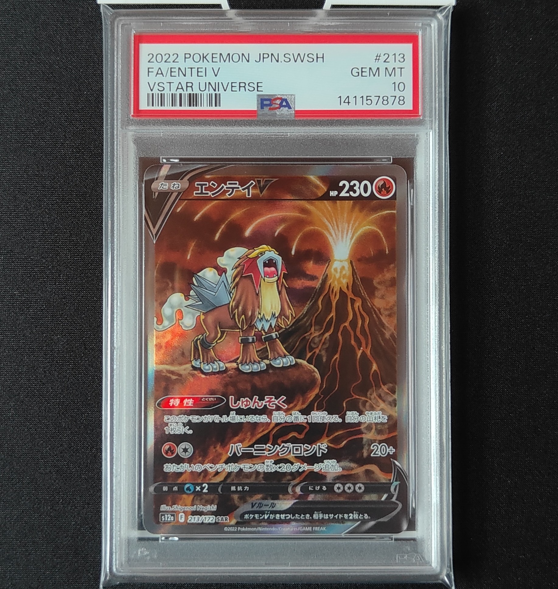 PSA10】エンテイV SAR[s12a 213/172](ハイクラスパック「VSTAR