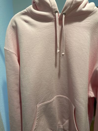 Supreme Satin Applique Hooded Sweatshirt "Light Pink"