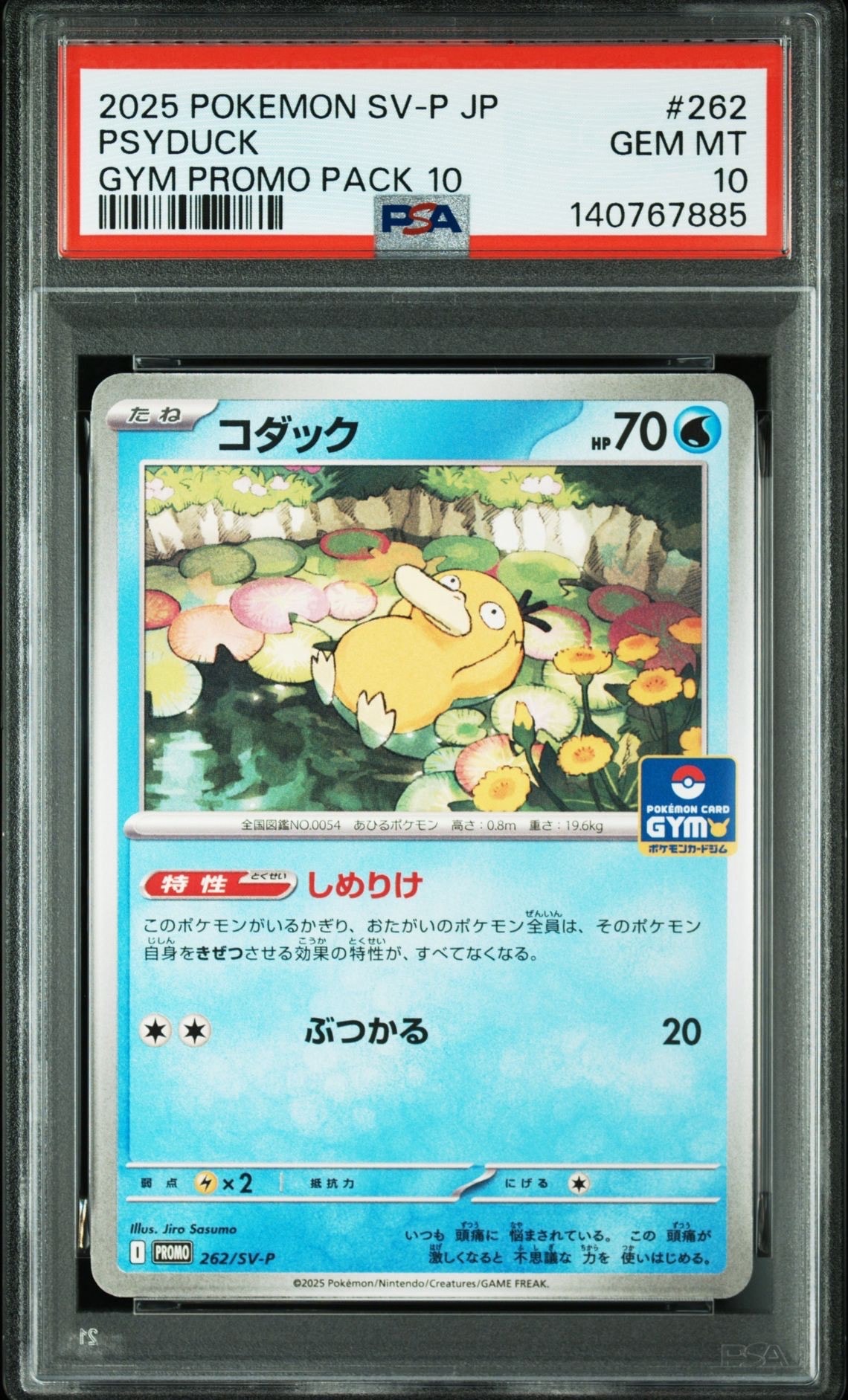 コダック P [SV-P 262](プロモカードパック「第10弾」)