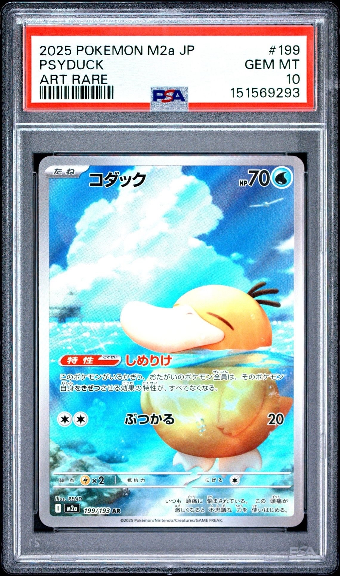 コダック AR [M2a 199/193](ハイクラスパック「MEGAドリームex」)