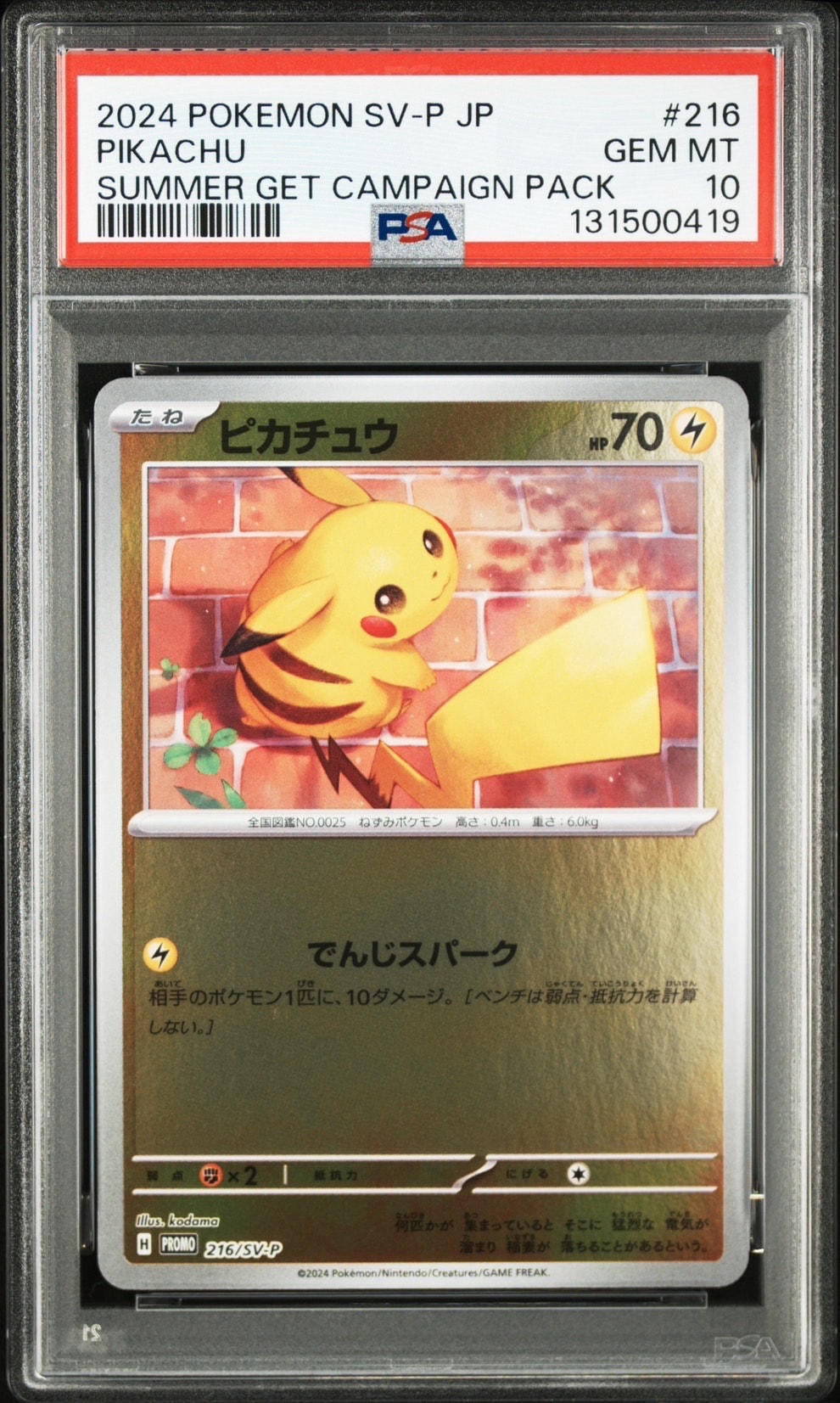 ピカチュウ P [SV-P 216](プロモカードパック「ポケカの夏がキタ!プロモカードGetキャンペーン!」)