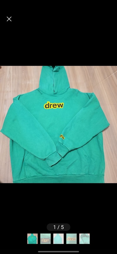 drew house secret hoodie "Forest"