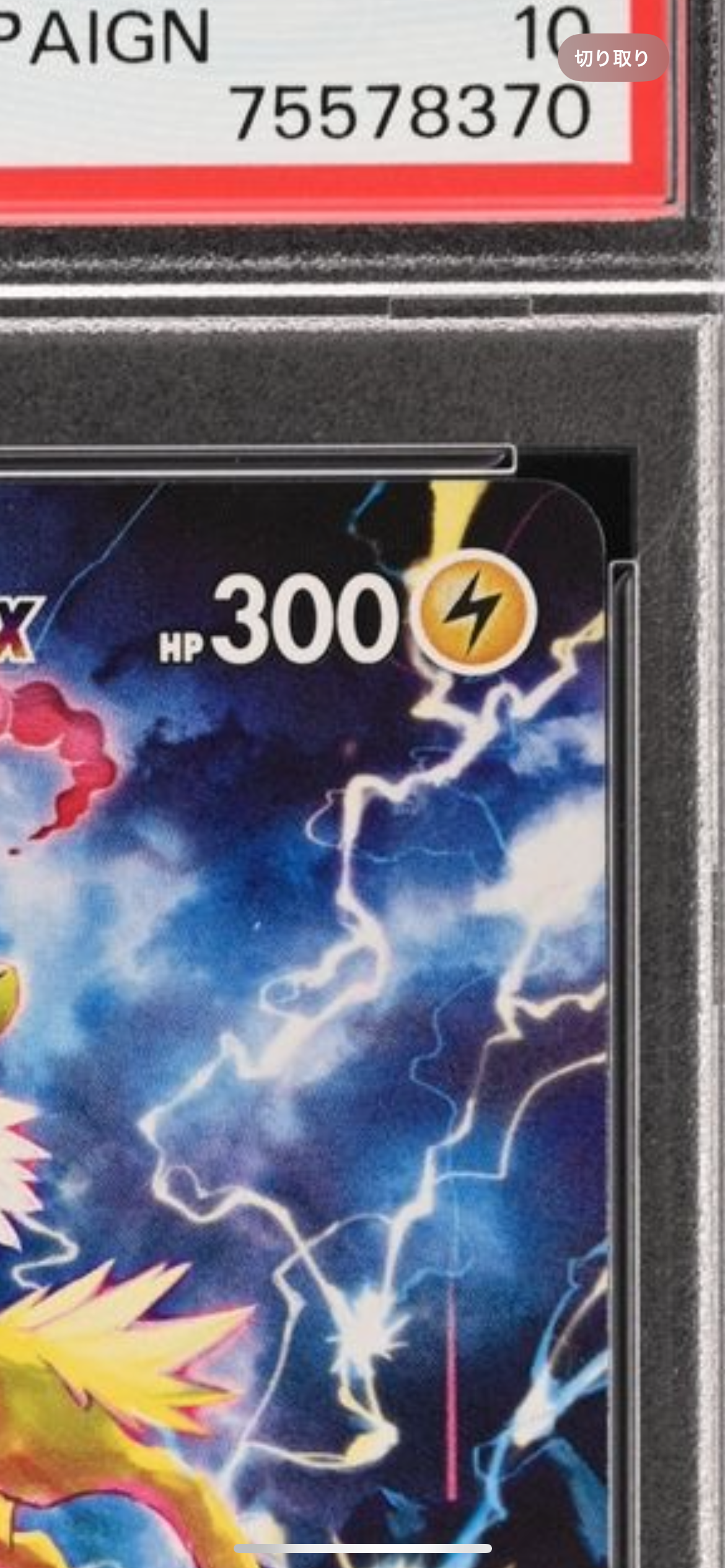 ポケモンカード　夏ポケカ　ブースター　VMAX  188/S-P プロモ サンダースVMAX(188/S-P)[SA] | プロモ | ドラゴンスター ネット