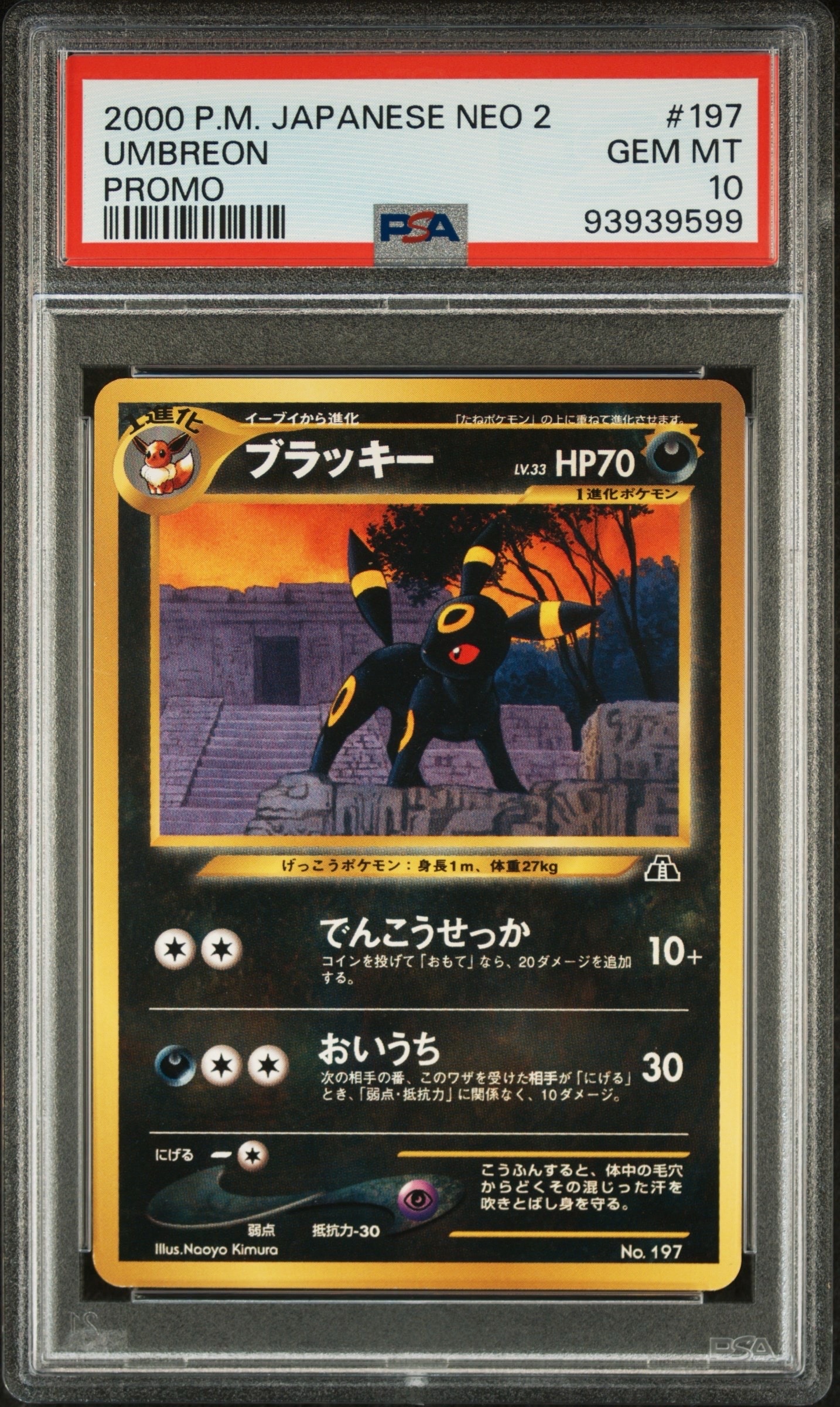 PSA10】ブラッキープレミアムファイル2: 旧裏[neoP2 No.197