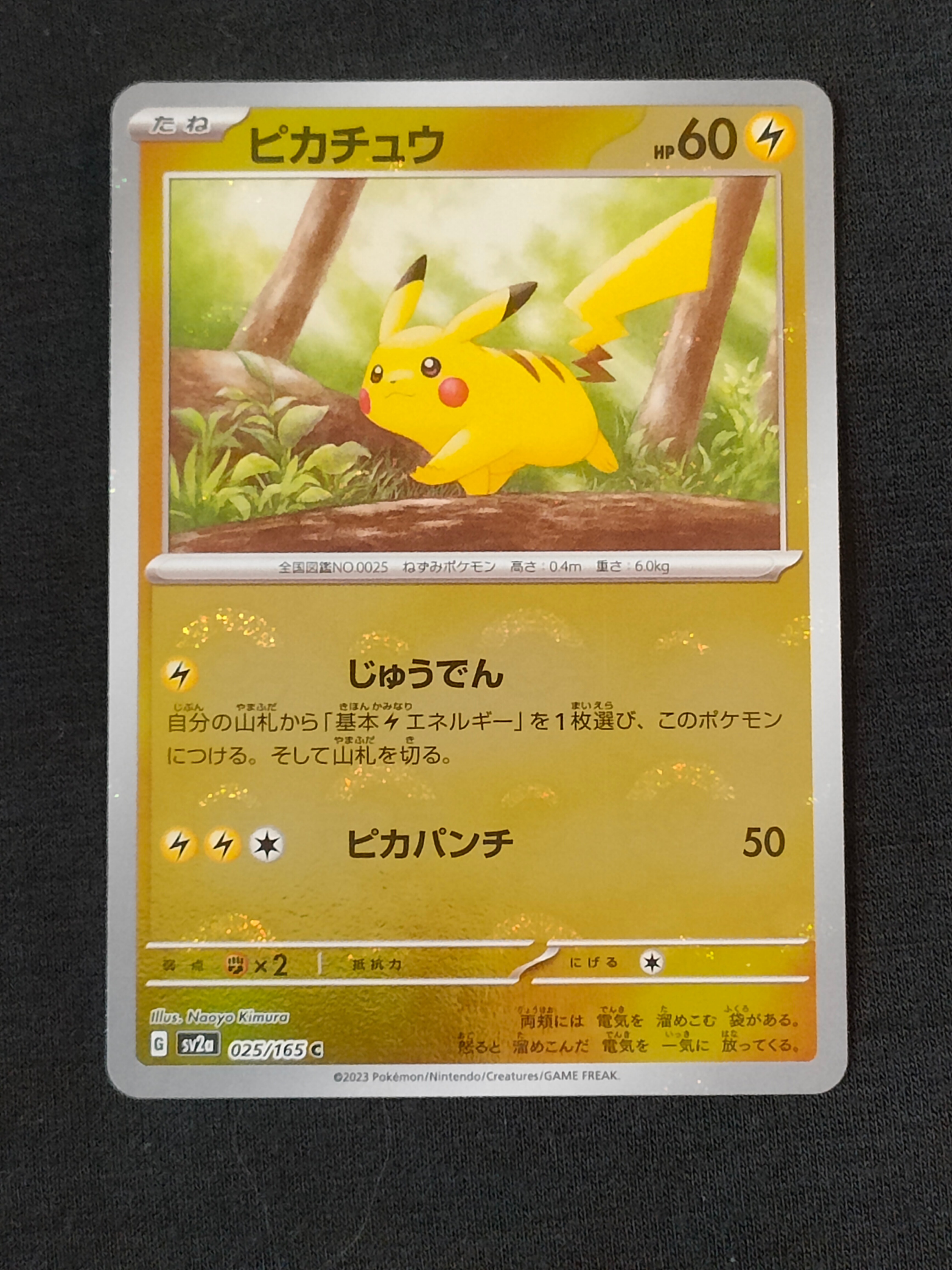 PSA10】ピカチュウ C: マスターボールミラー (マスボピカチュウ) [SV2a