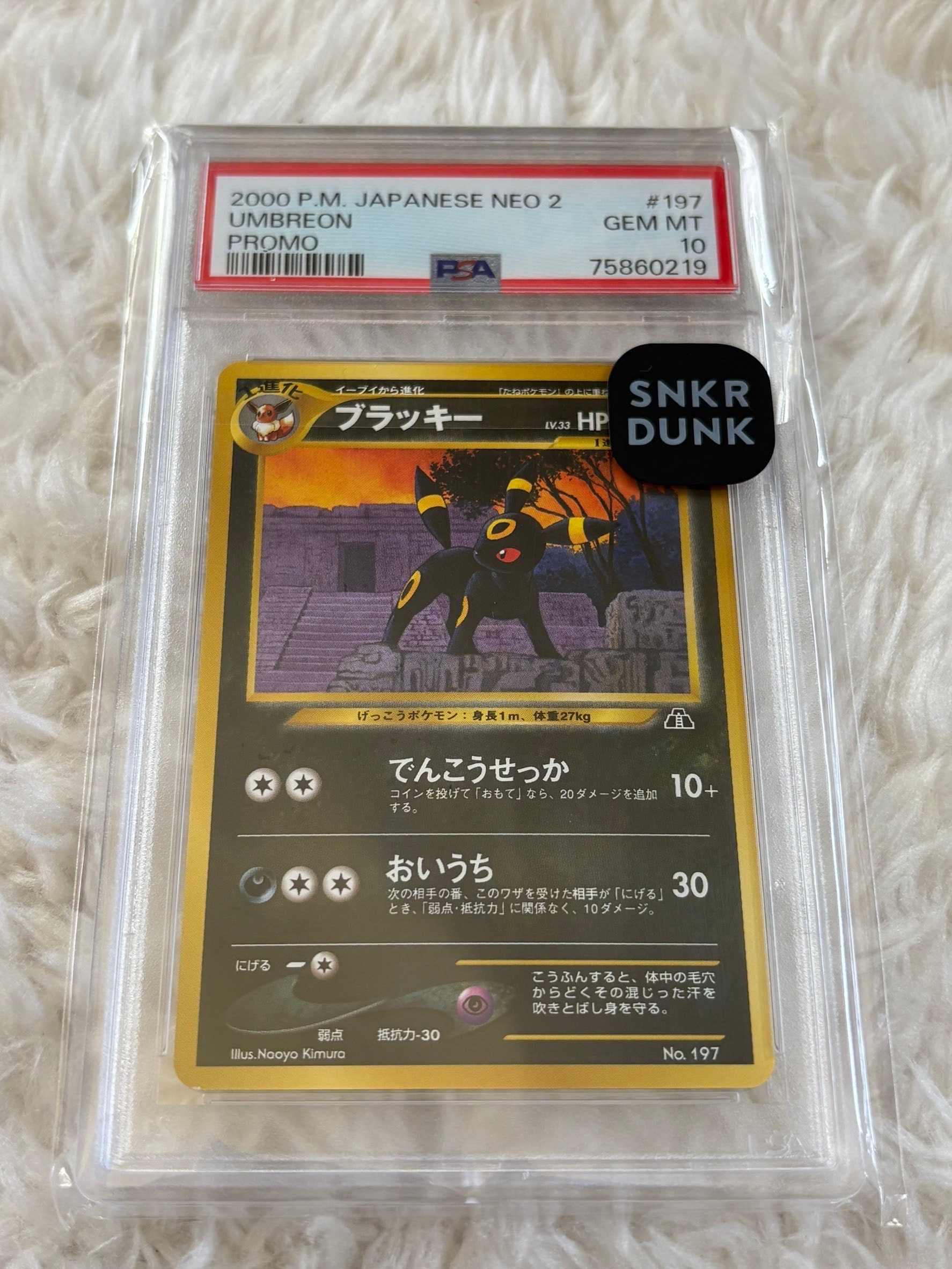 ブラッキープレミアムファイル2: 旧裏[neoP2 No.197](プレミアムファイル2)