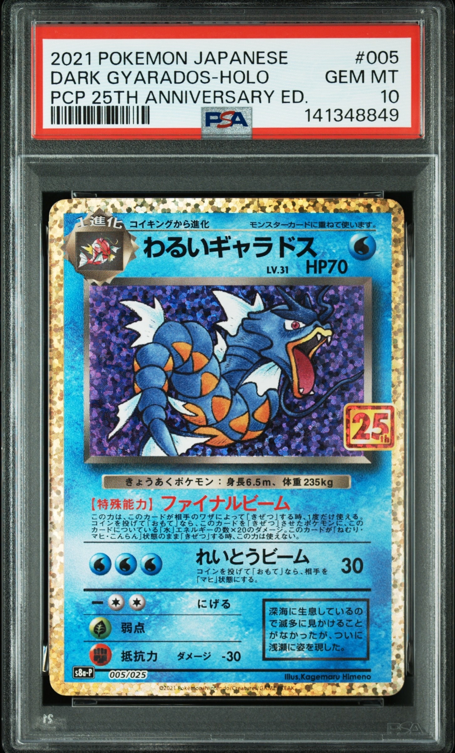 わるいギャラドス　25thプロモ　BGS10 BGS10 BL】わるいギャラドス: プロモ[S8a-P 005/025](プロモカード