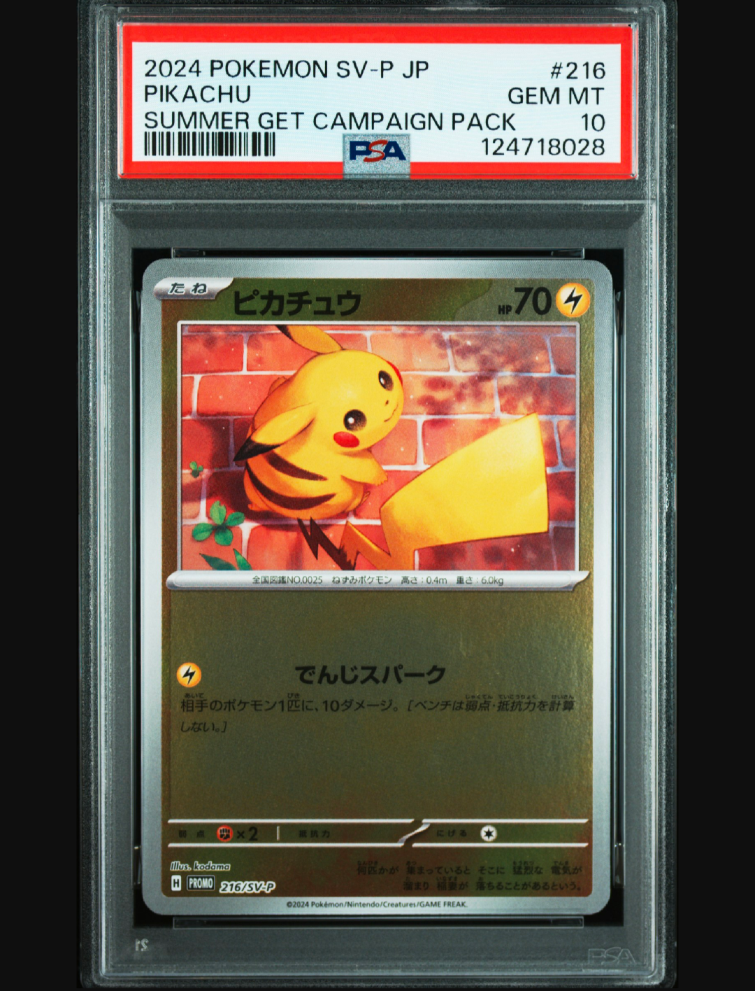 ピカチュウ P [SV-P 216](プロモカードパック「ポケカの夏がキタ!プロモカードGetキャンペーン!」)