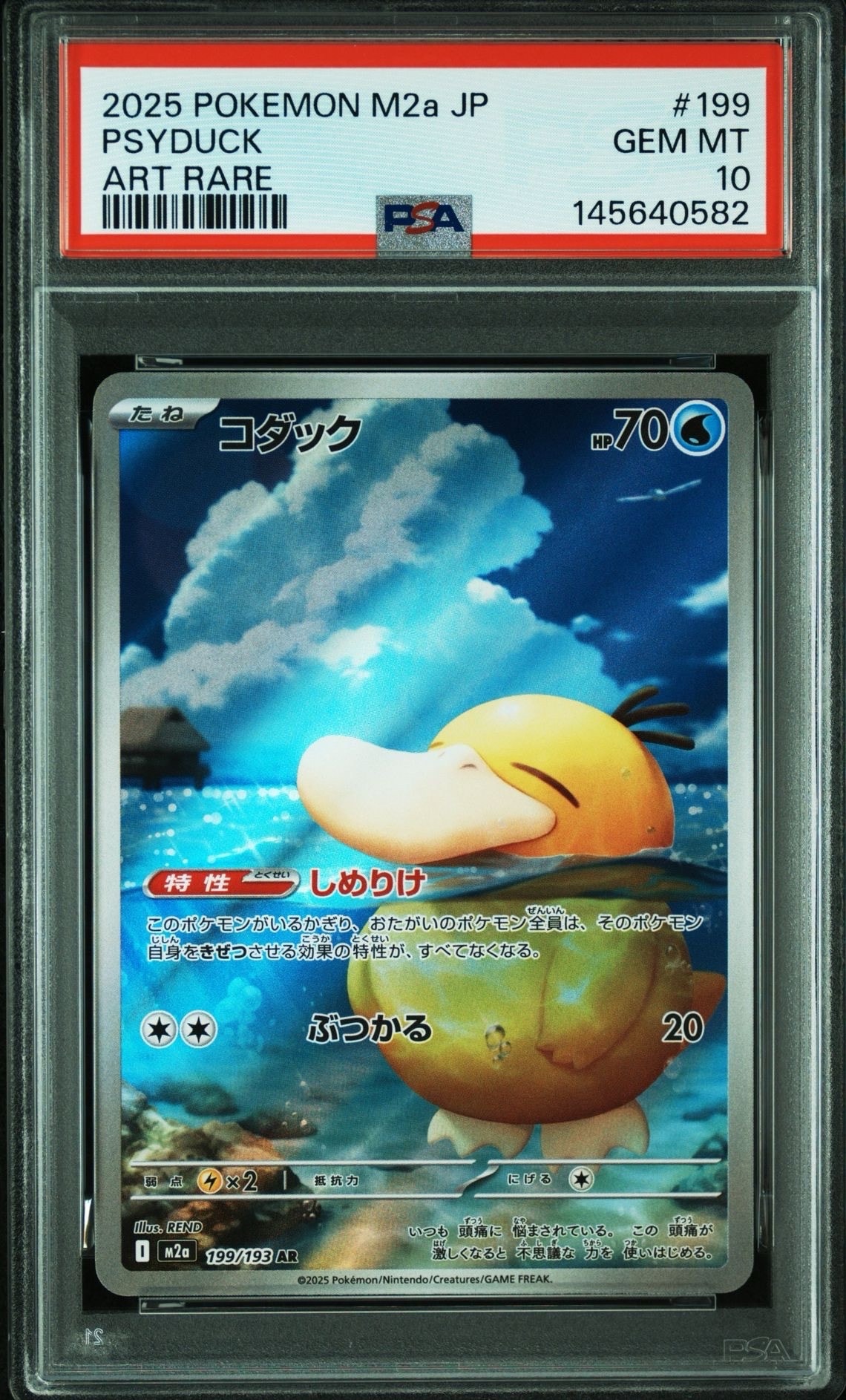 コダック AR [M2a 199/193](ハイクラスパック「MEGAドリームex」)