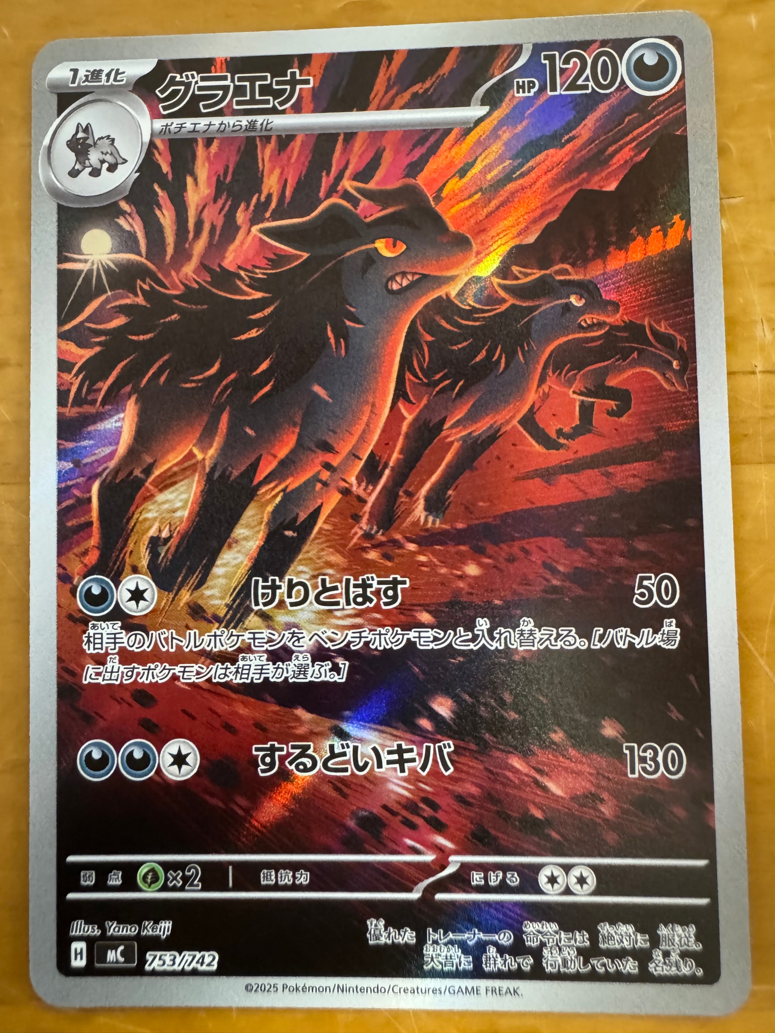 グラエナ AR仕様 [MC 753/742](スタートデッキ100「バトルコレクション