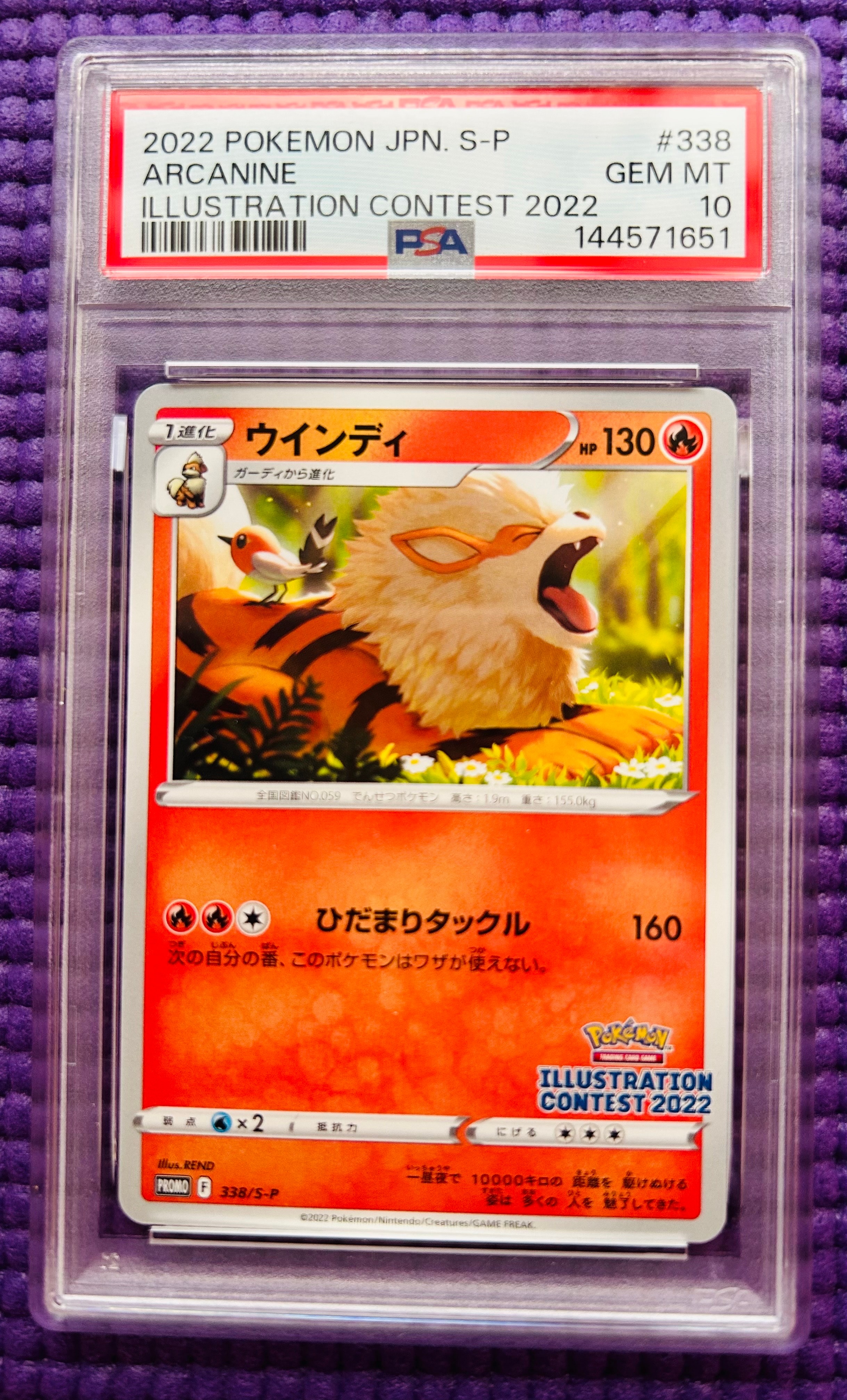 【PSA10】ゲッコウガ プロモ[PROMO339 S-P](プロモーションカー ゲッコウガ プロモ[PROMO339 S-P](プロモーションカード「ポケモン