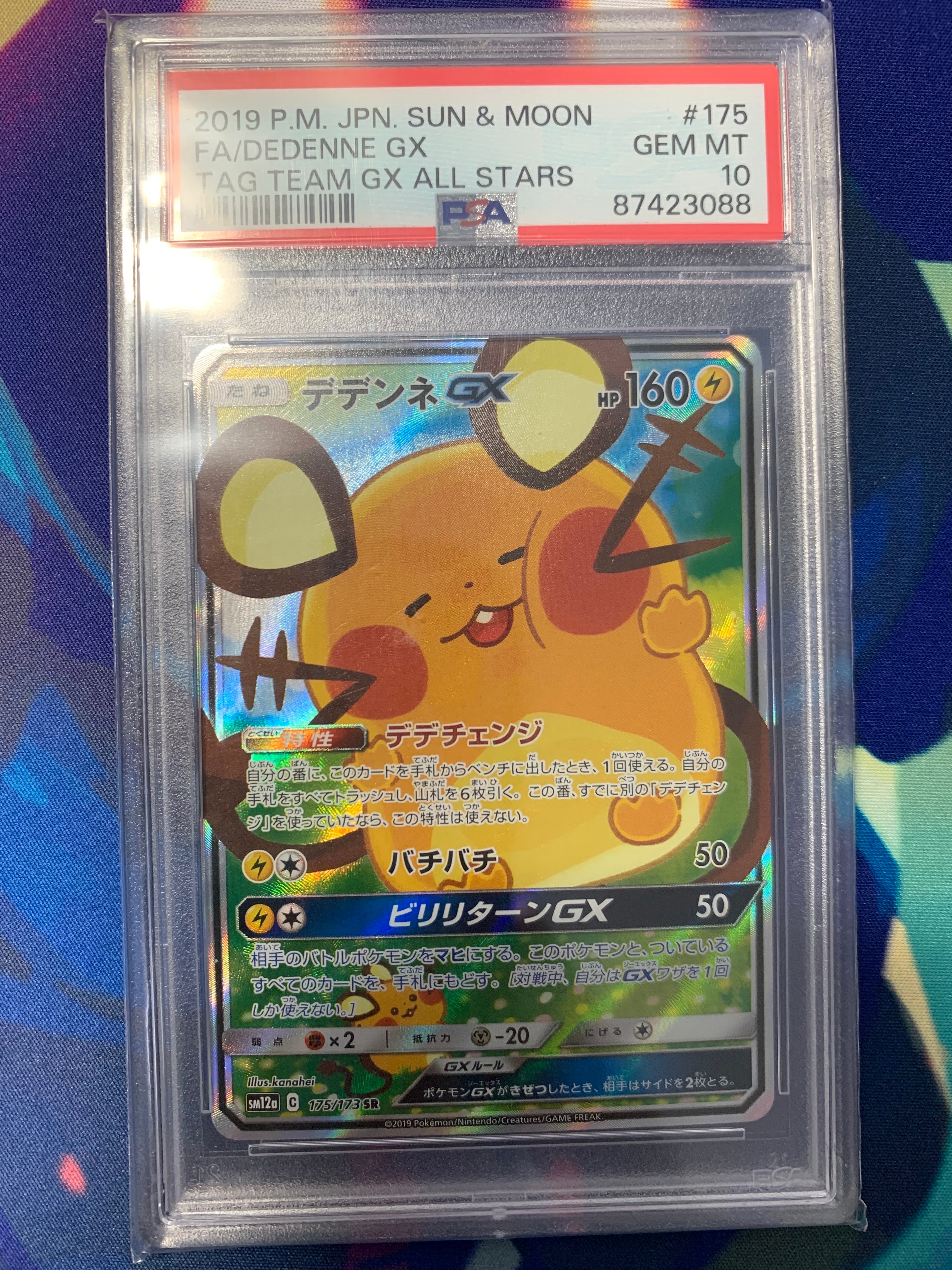 PSA10】ホゲータ AR [CBB1C 03 09/09]【中国語版】(ポケモンカード