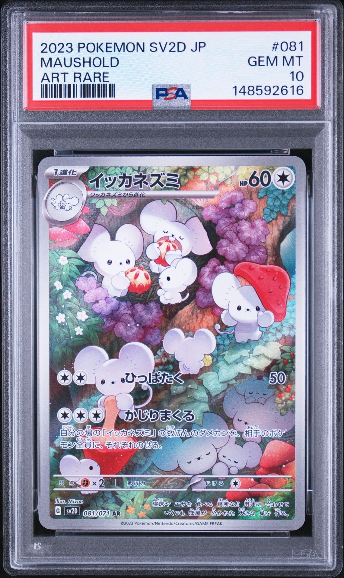 Maushold AR[SV2D 081/071](Expansion Pack "Clay burst")