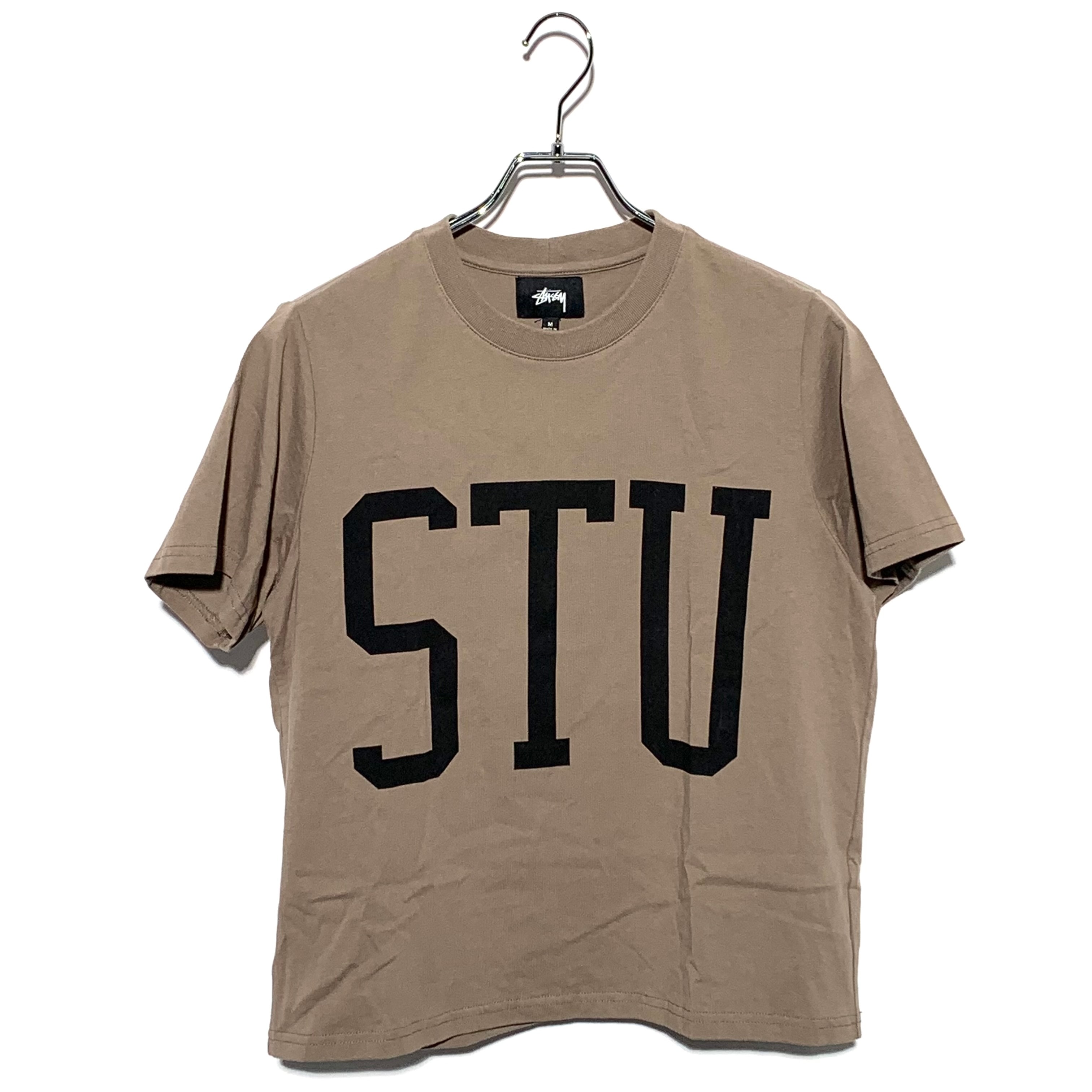 Stussy ALLEN BIG SCALE TEE Brown