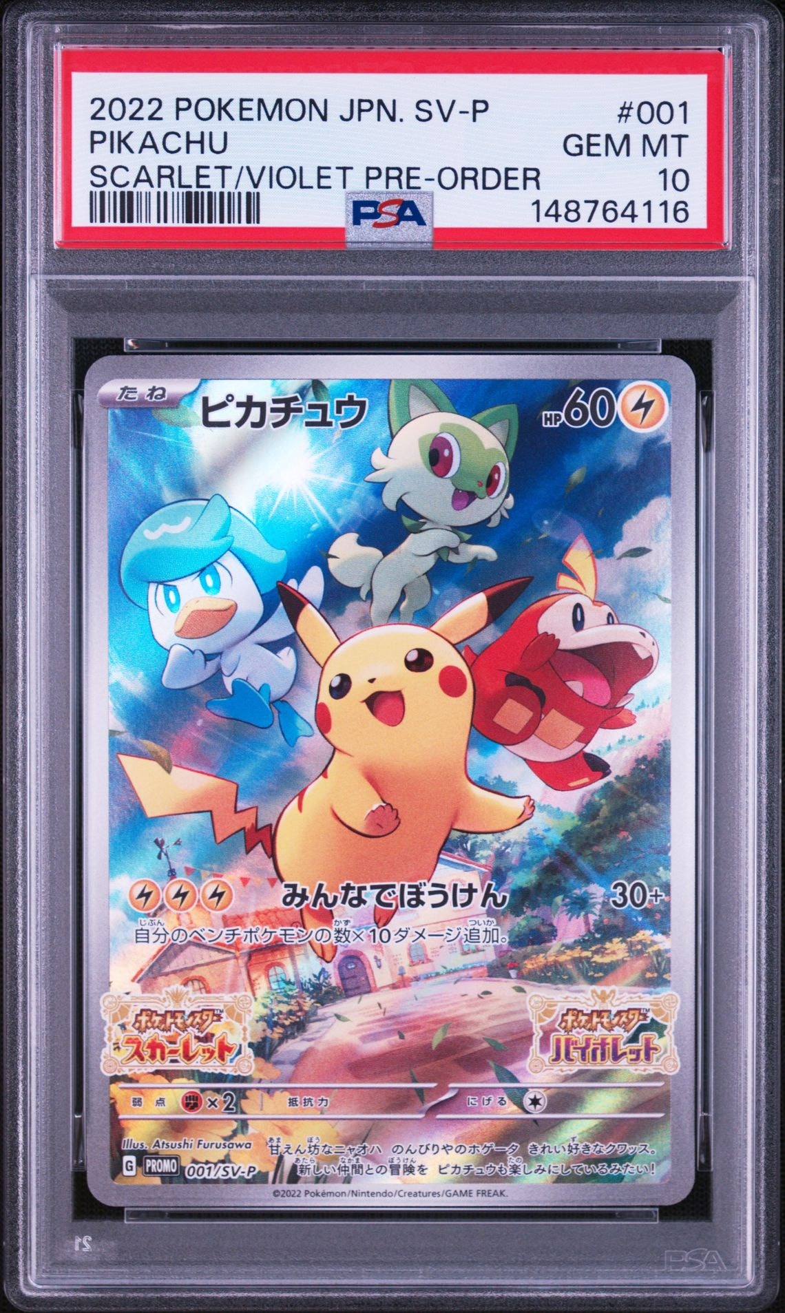 ブラッキー P [BW-P 115/BW-P](プロモーションカード「ダークラッシュ