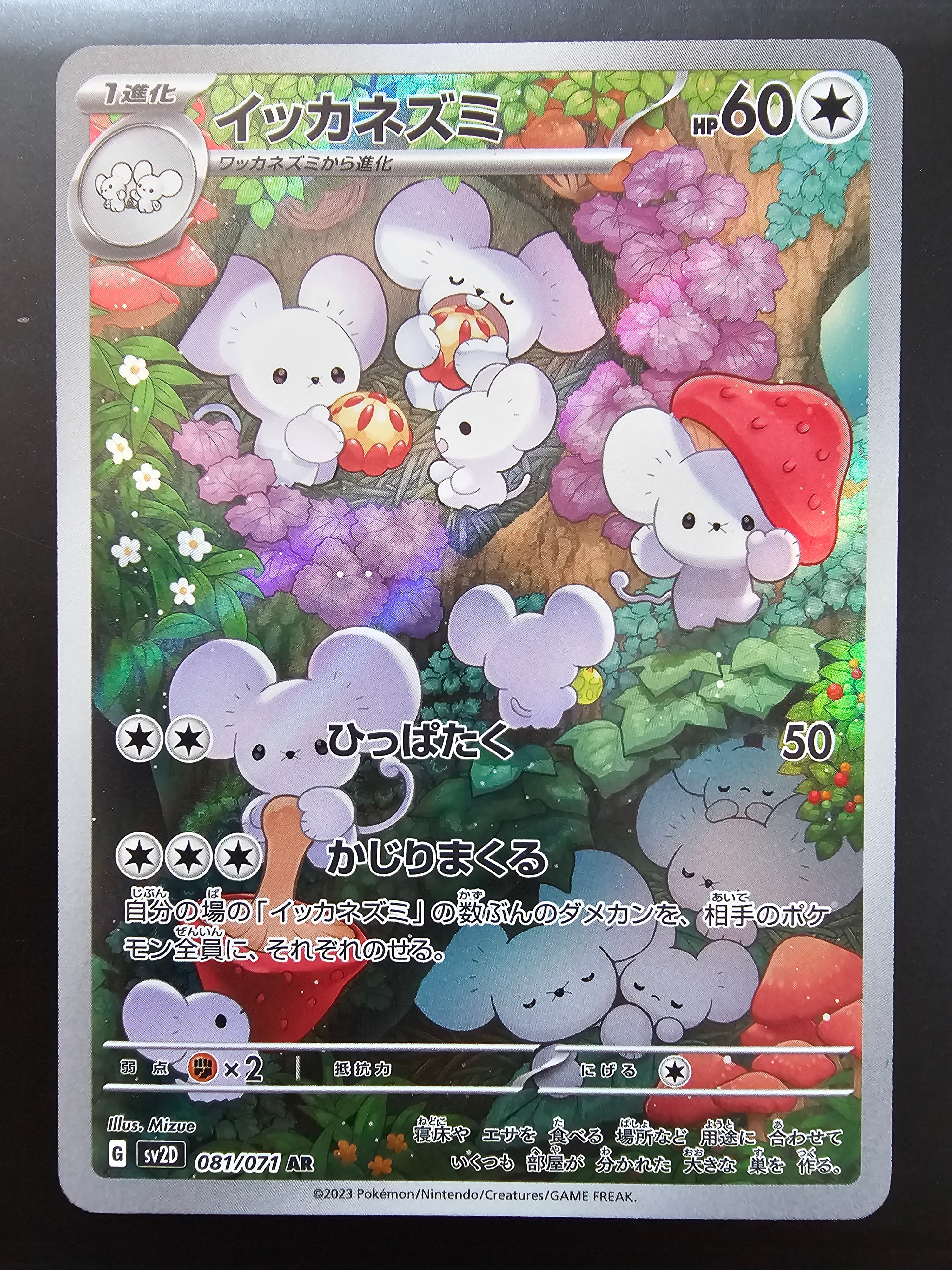 イッカネズミ AR[SV2D 081/071](拡張パック「クレイバースト」)の新品
