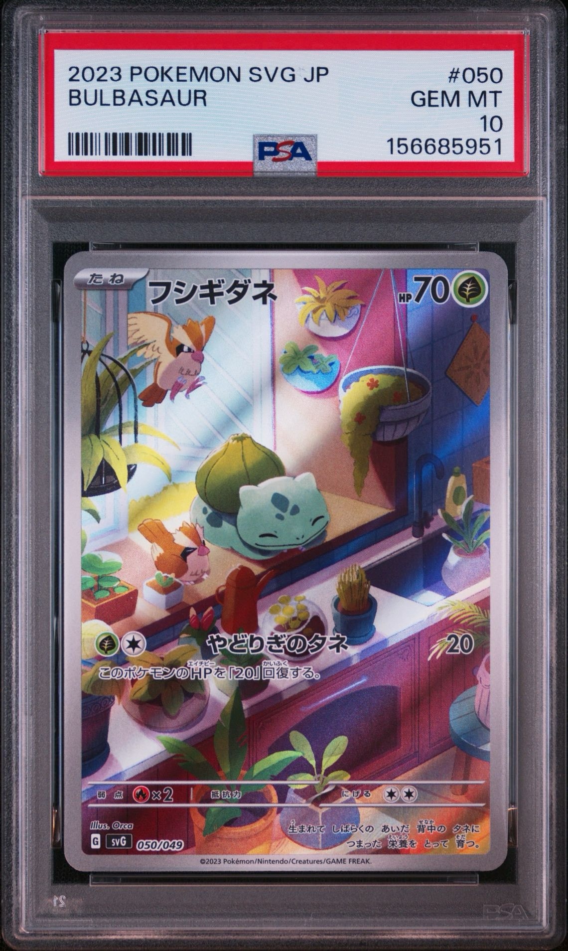 フシギダネ :フルイラスト [SVG 050/049](スペシャルデッキセットex「フシギバナ・リザードン・カメックス」)