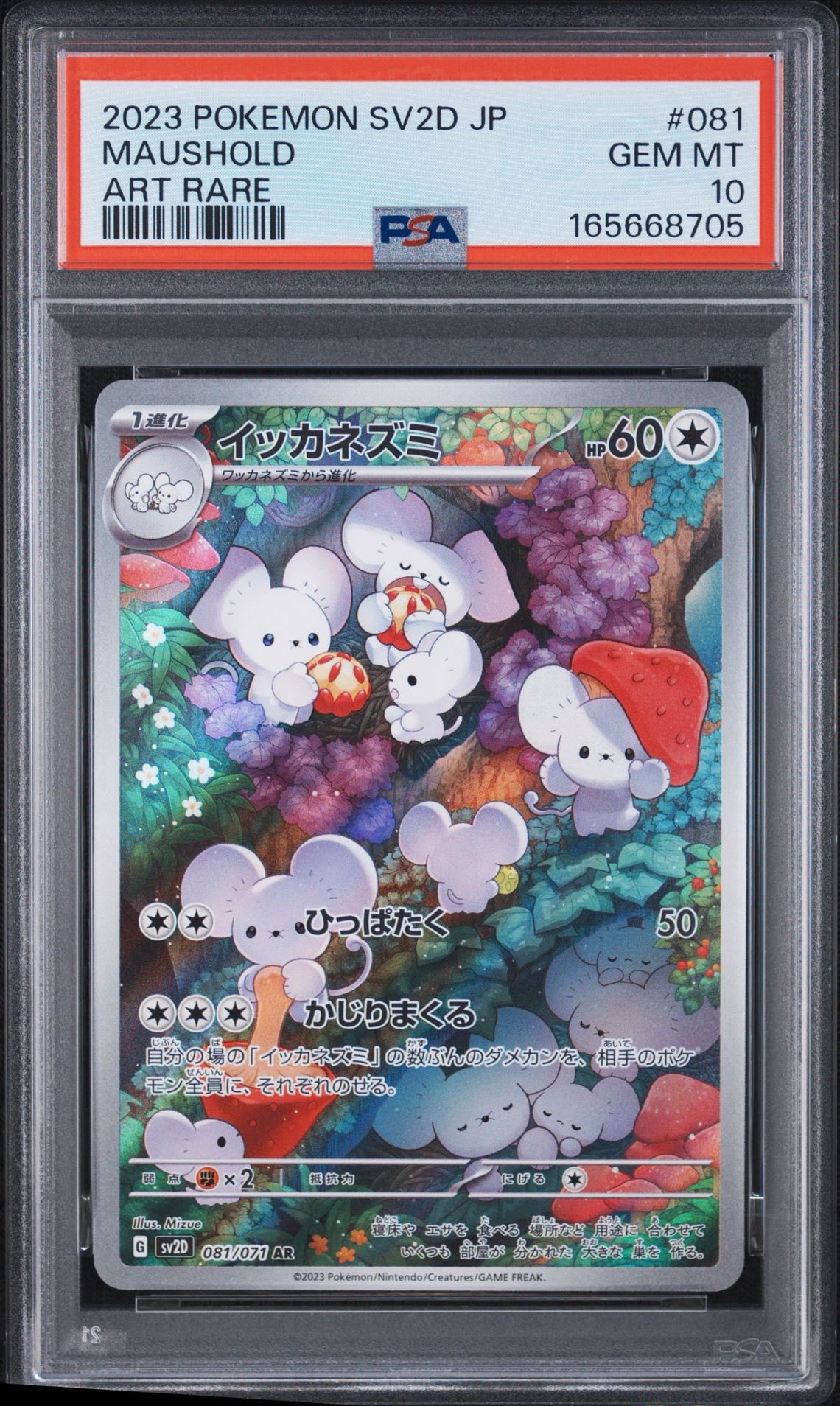 Maushold AR[SV2D 081/071](Expansion Pack "Clay burst")