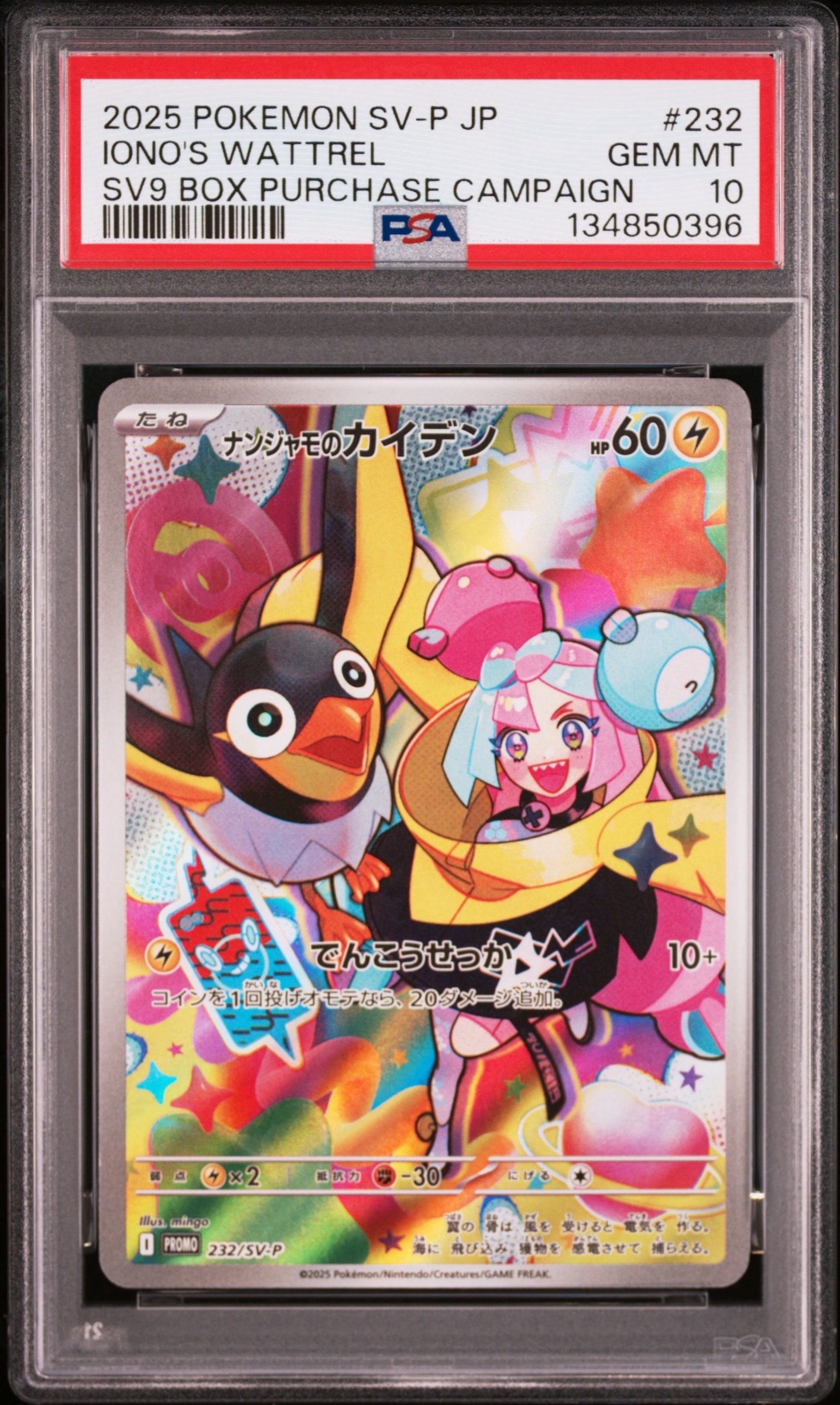 ナンジャモのカイデン P [SV-P 232](プロモーションカード「拡張パック